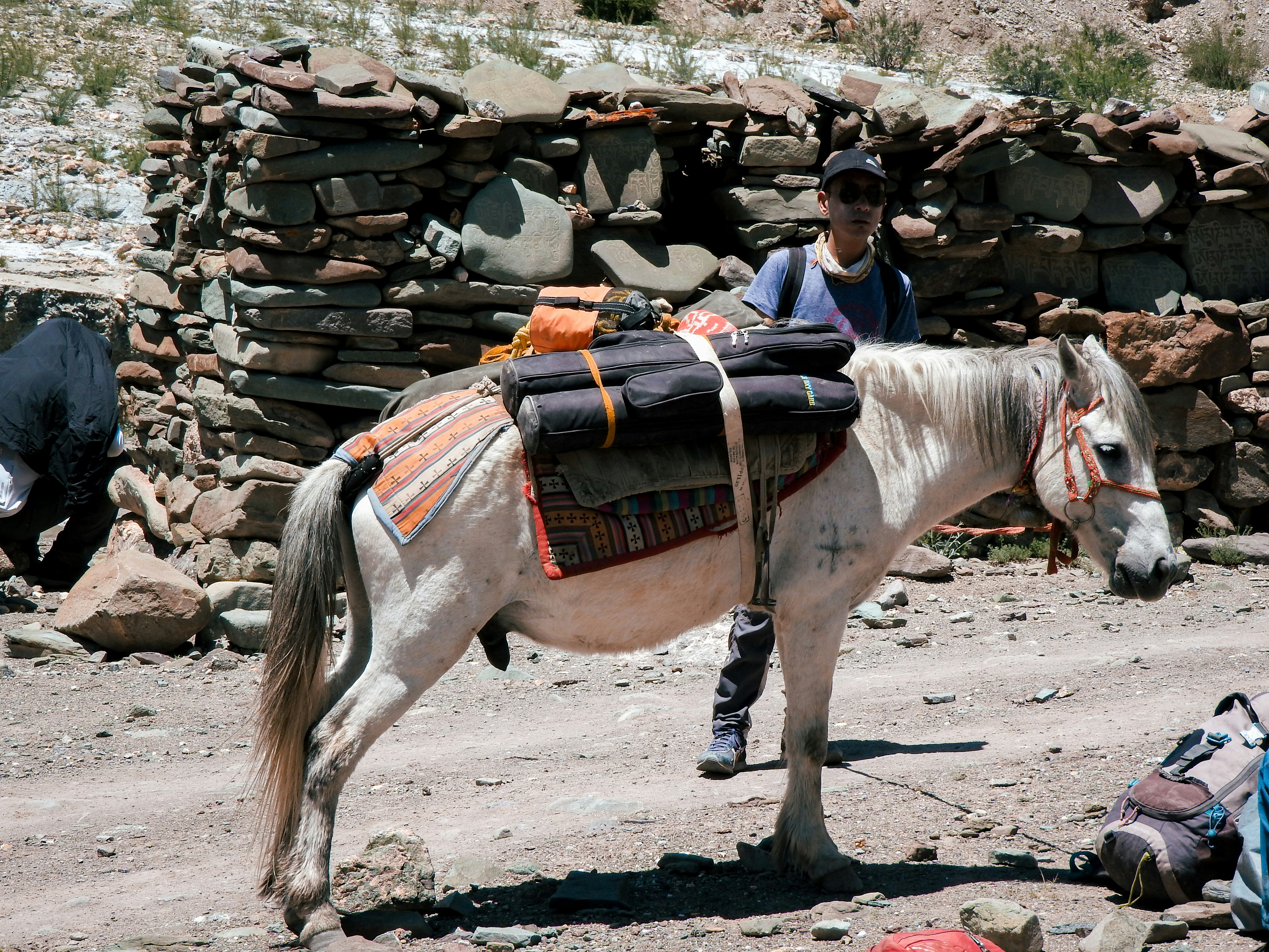 Photo by tomokiiwata