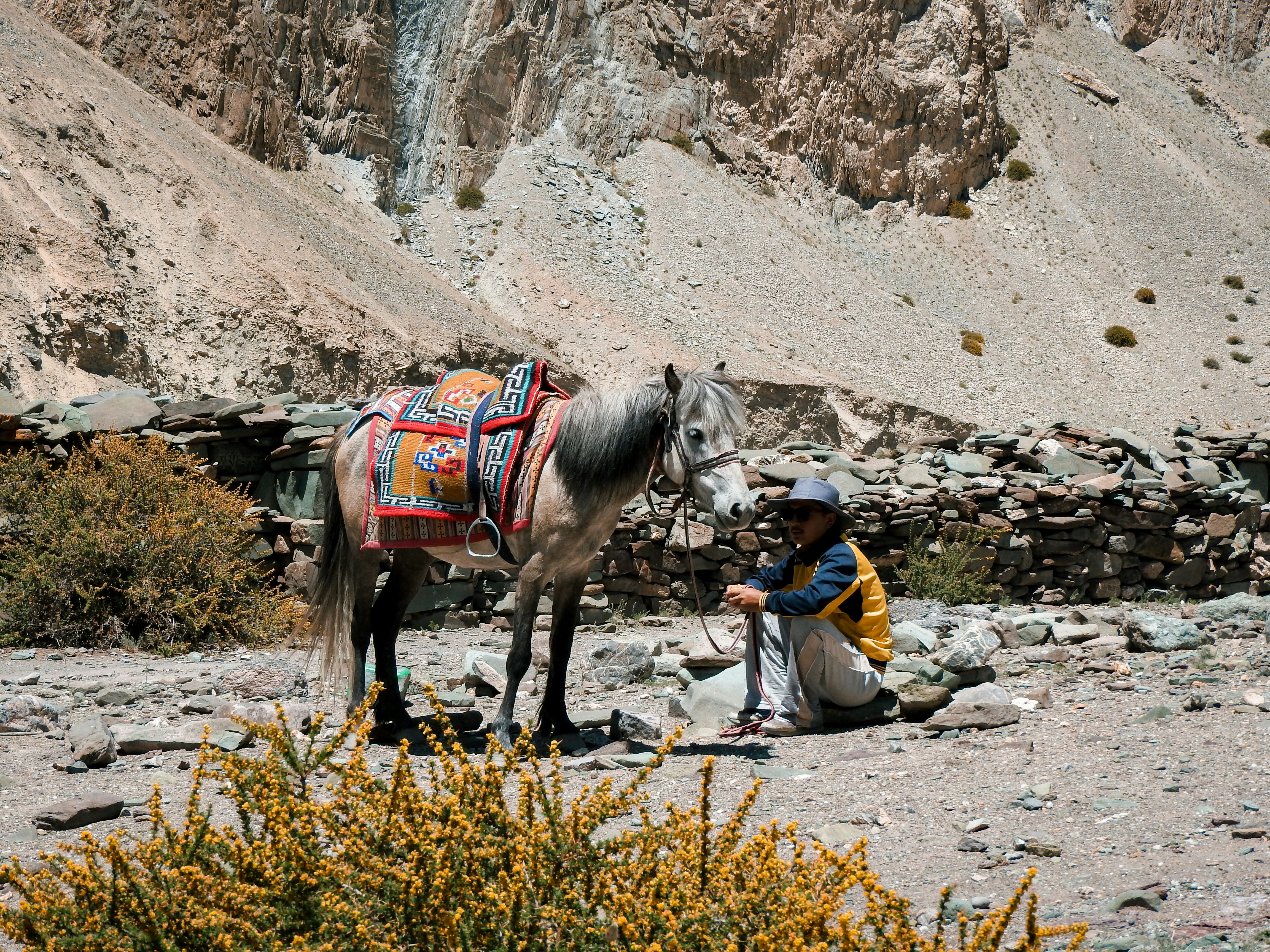 Photo by tomokiiwata