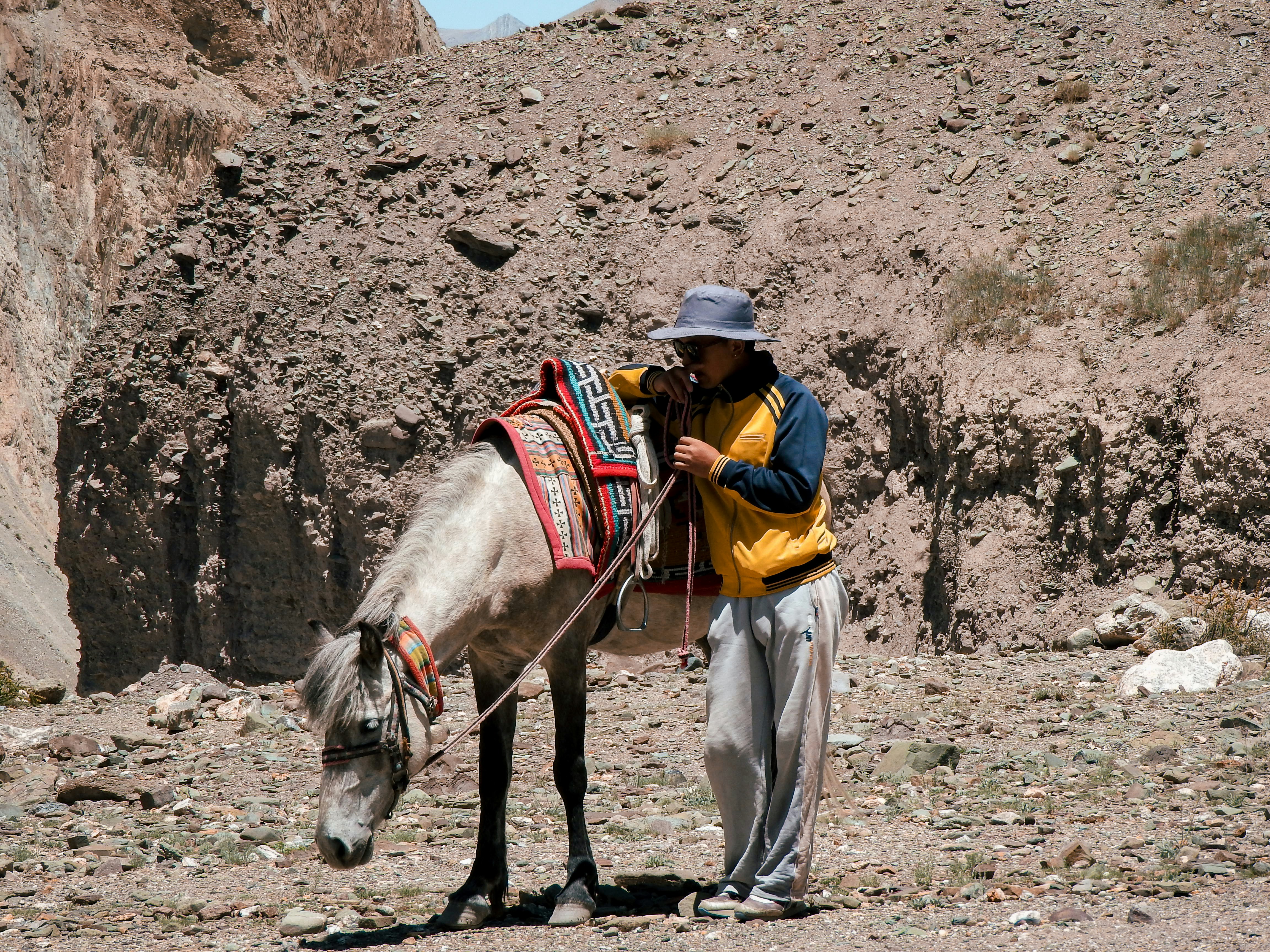 A man standing next to a donkey in the desert