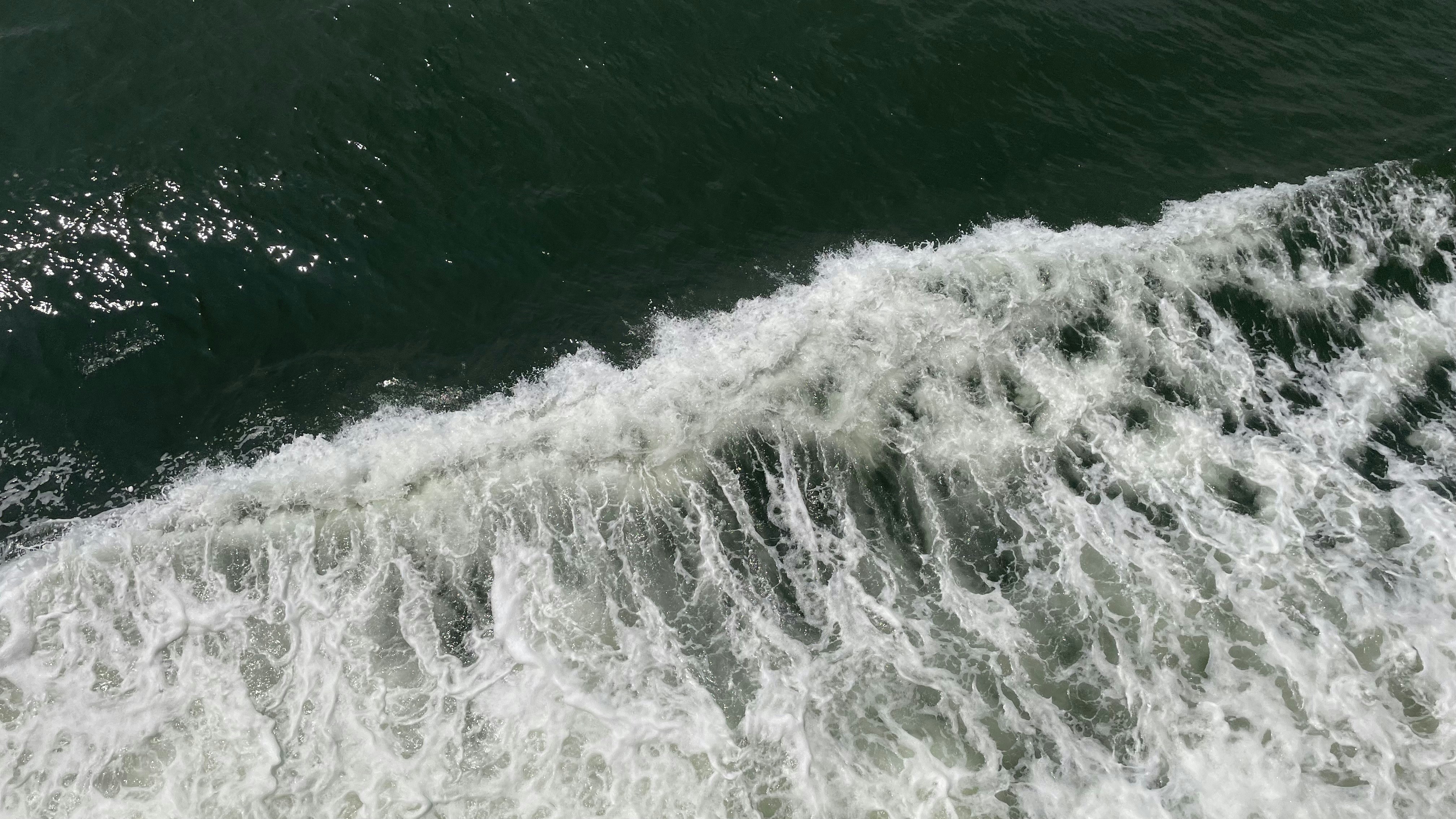 Photo by milazanforlin