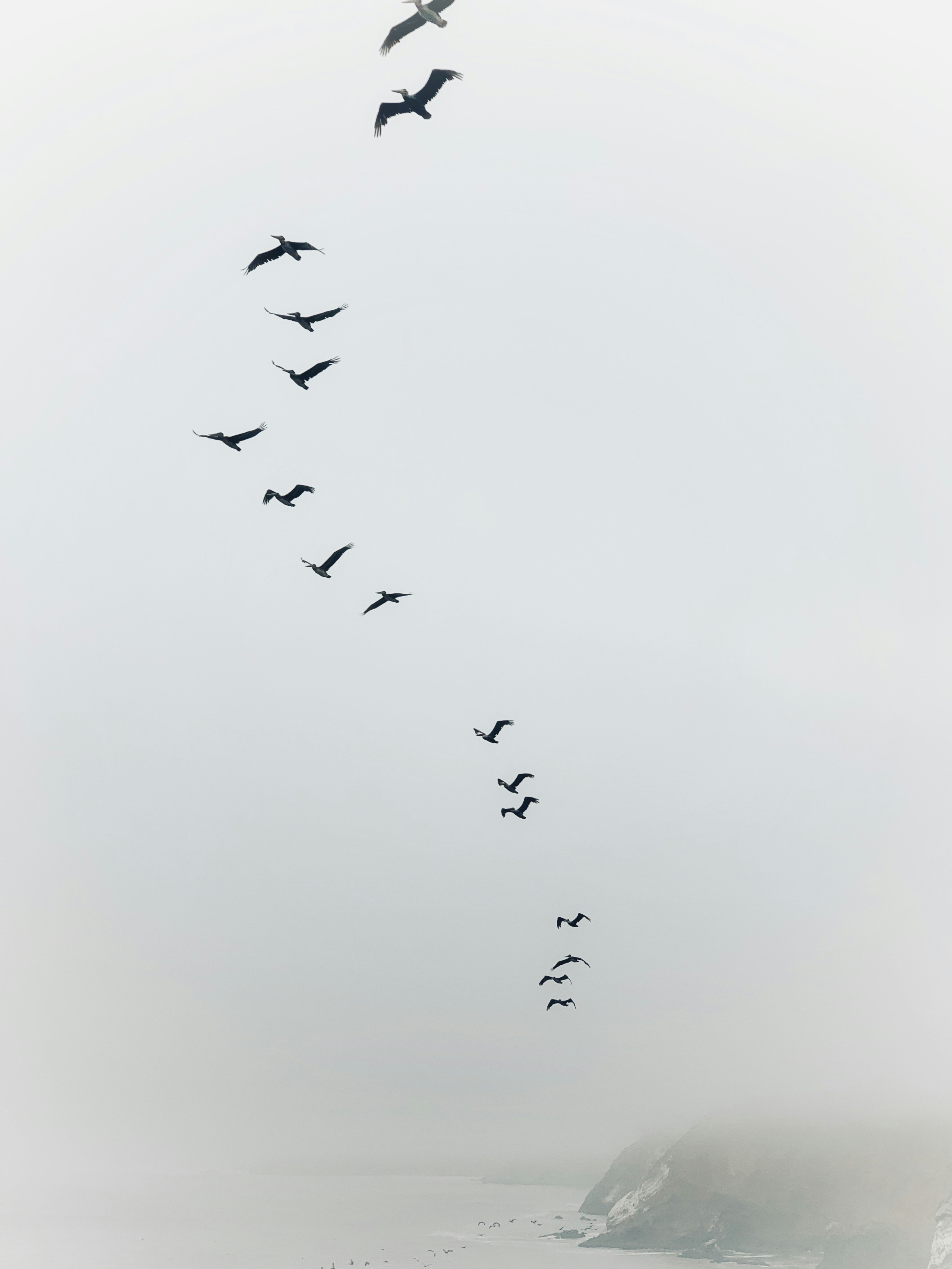 Photo by maryserphos