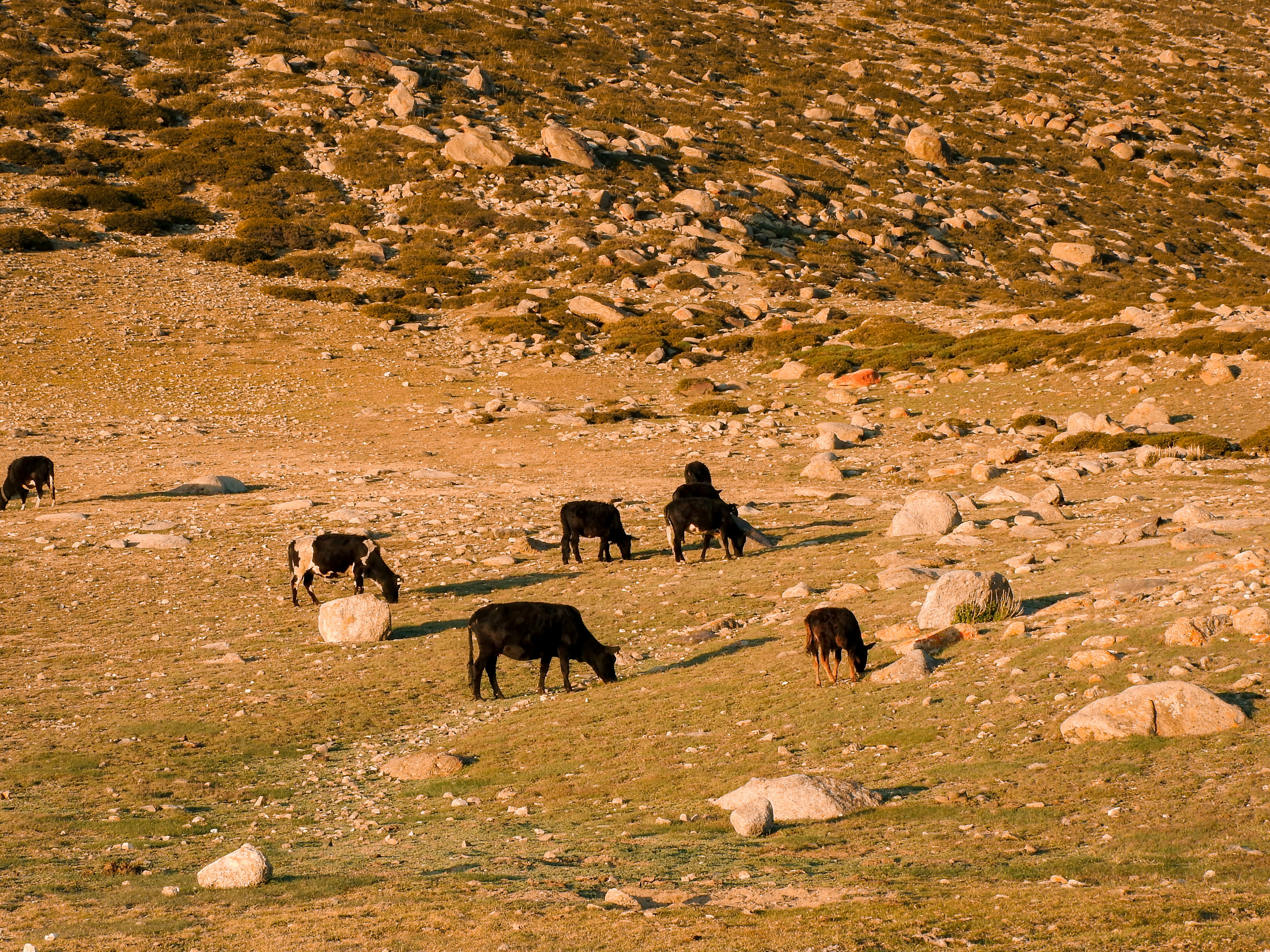 Photo by tomokiiwata