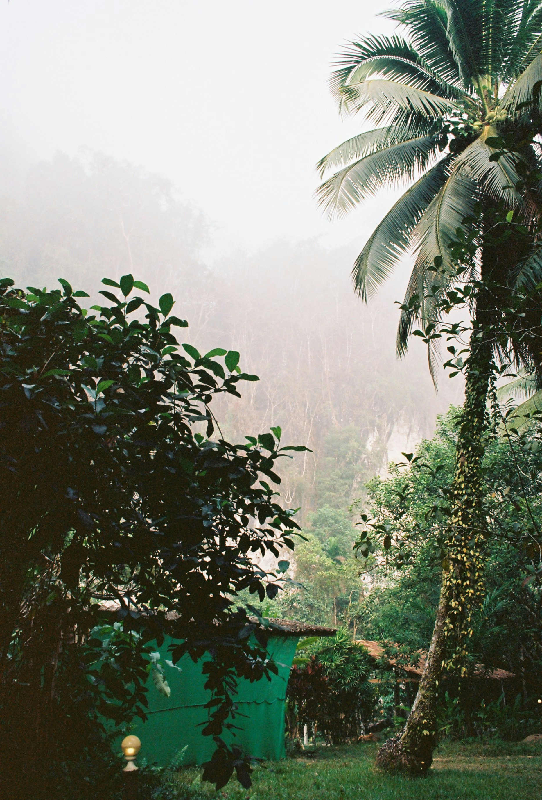 Photo by thomas_de_fretes