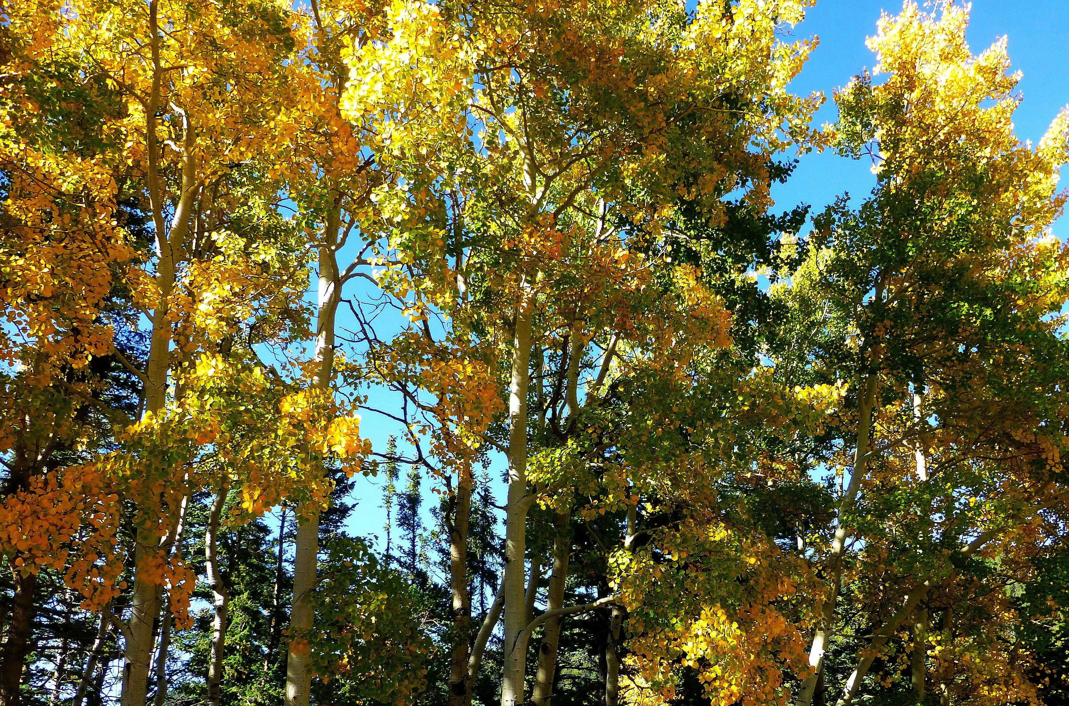 Photo by deniselynn_4