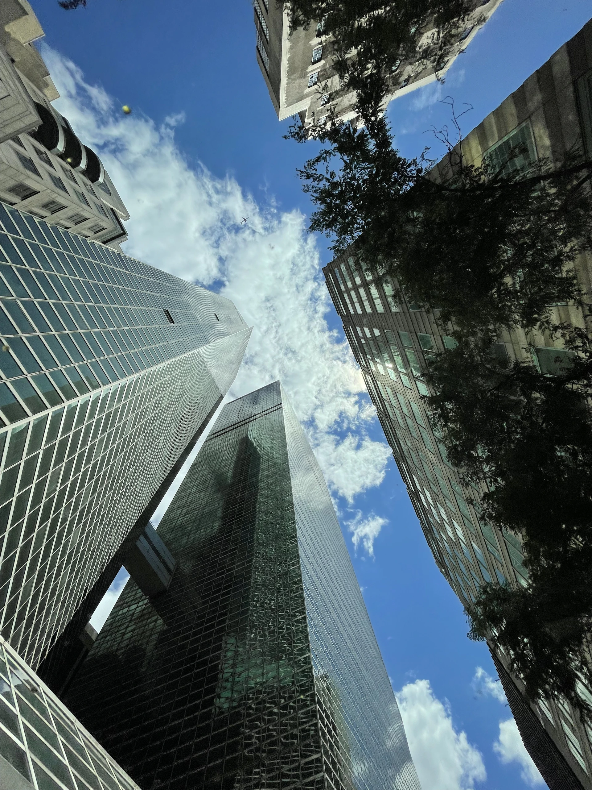Looking up at tall buildings in a city