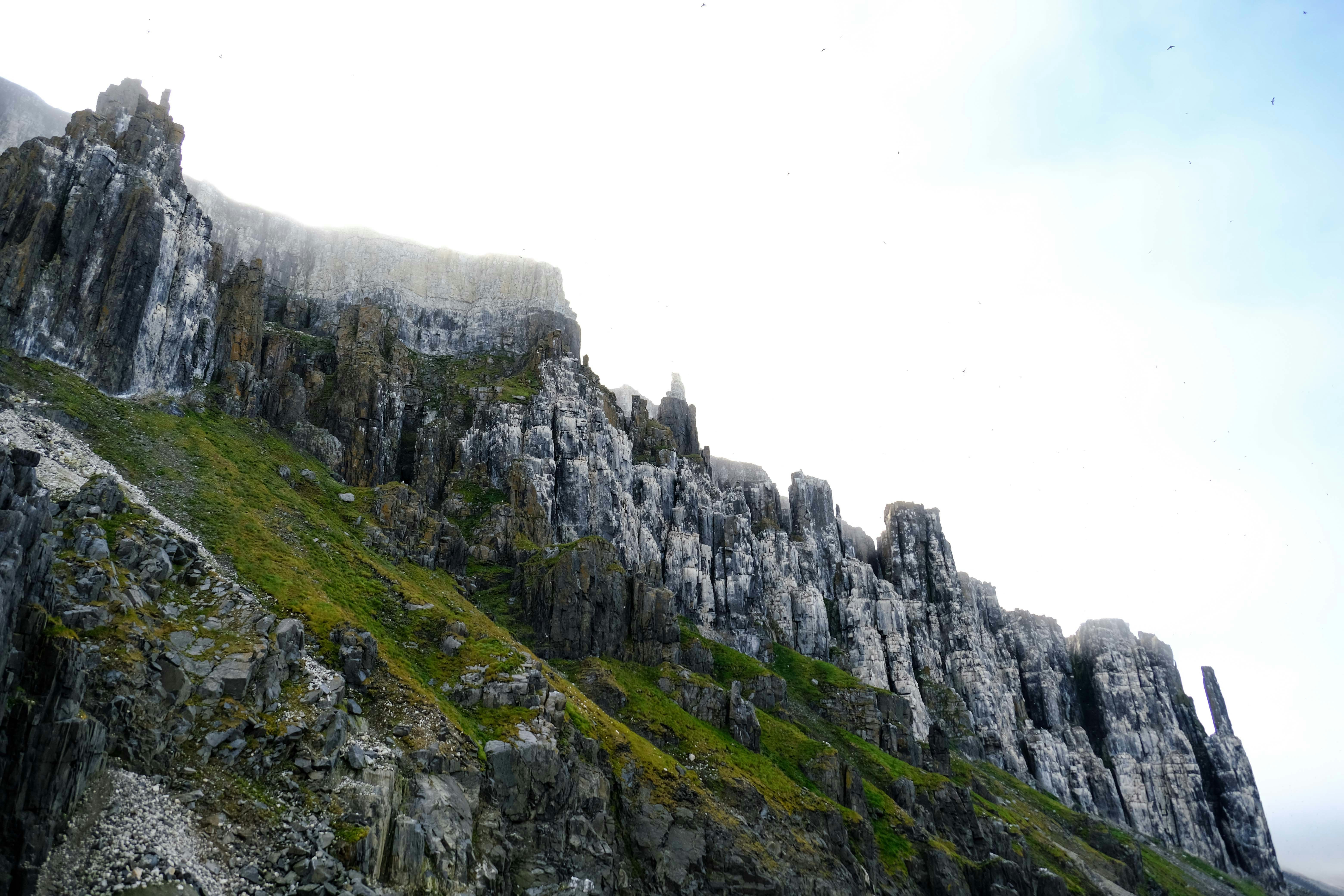 Photo by francesco_ungaro