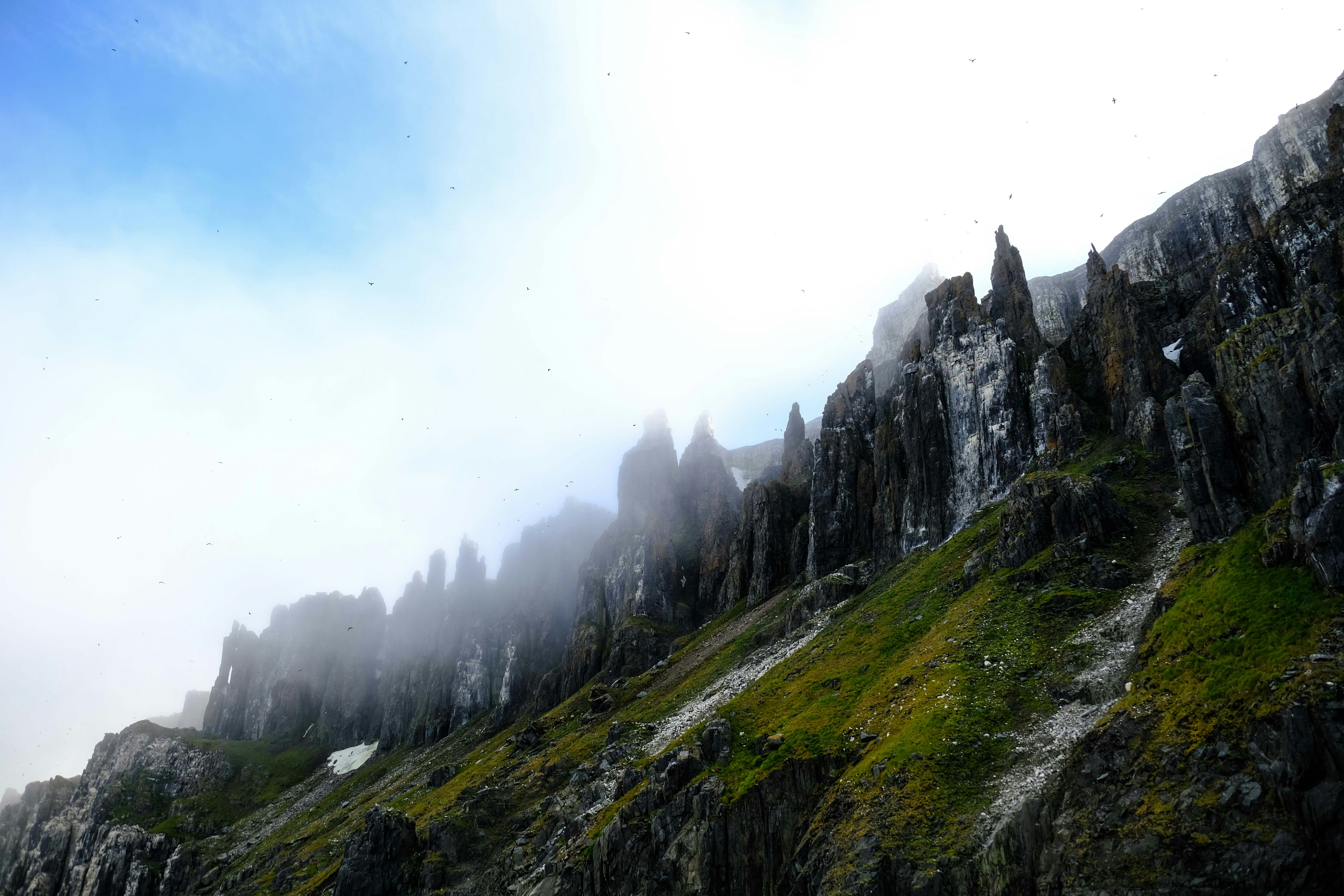 Photo by francesco_ungaro