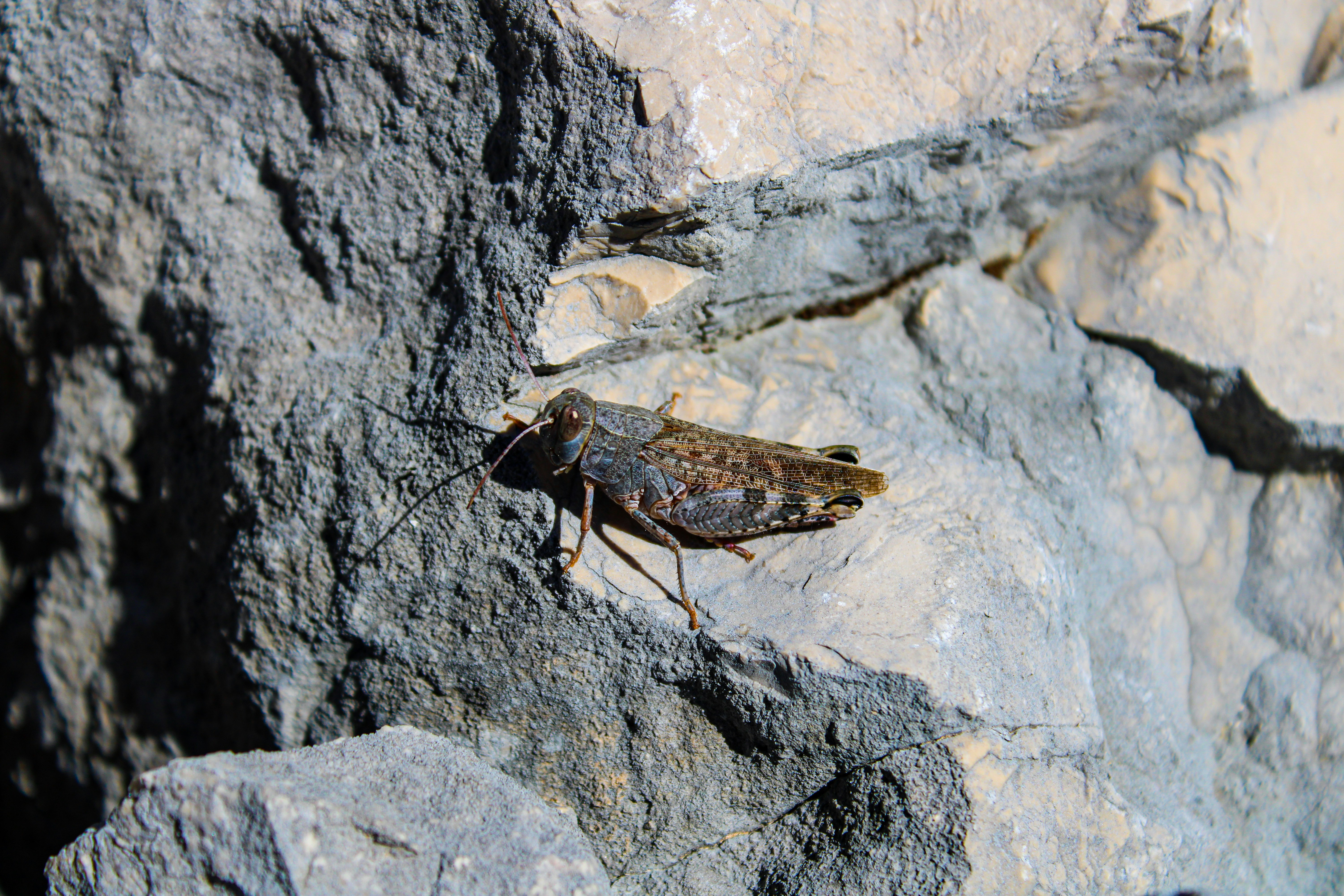 Photo by _jellephotography