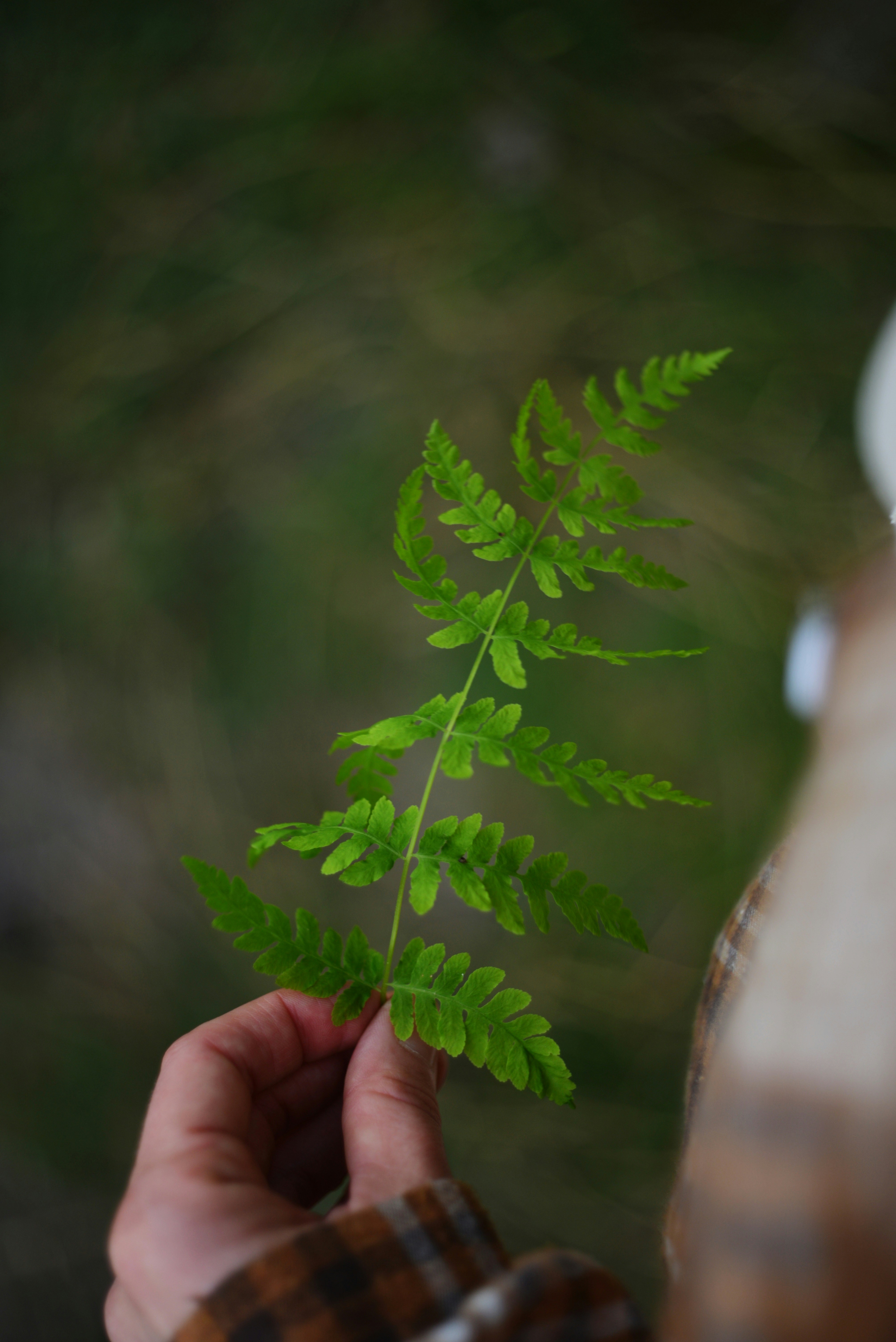 Photo by cherstve_pechivo