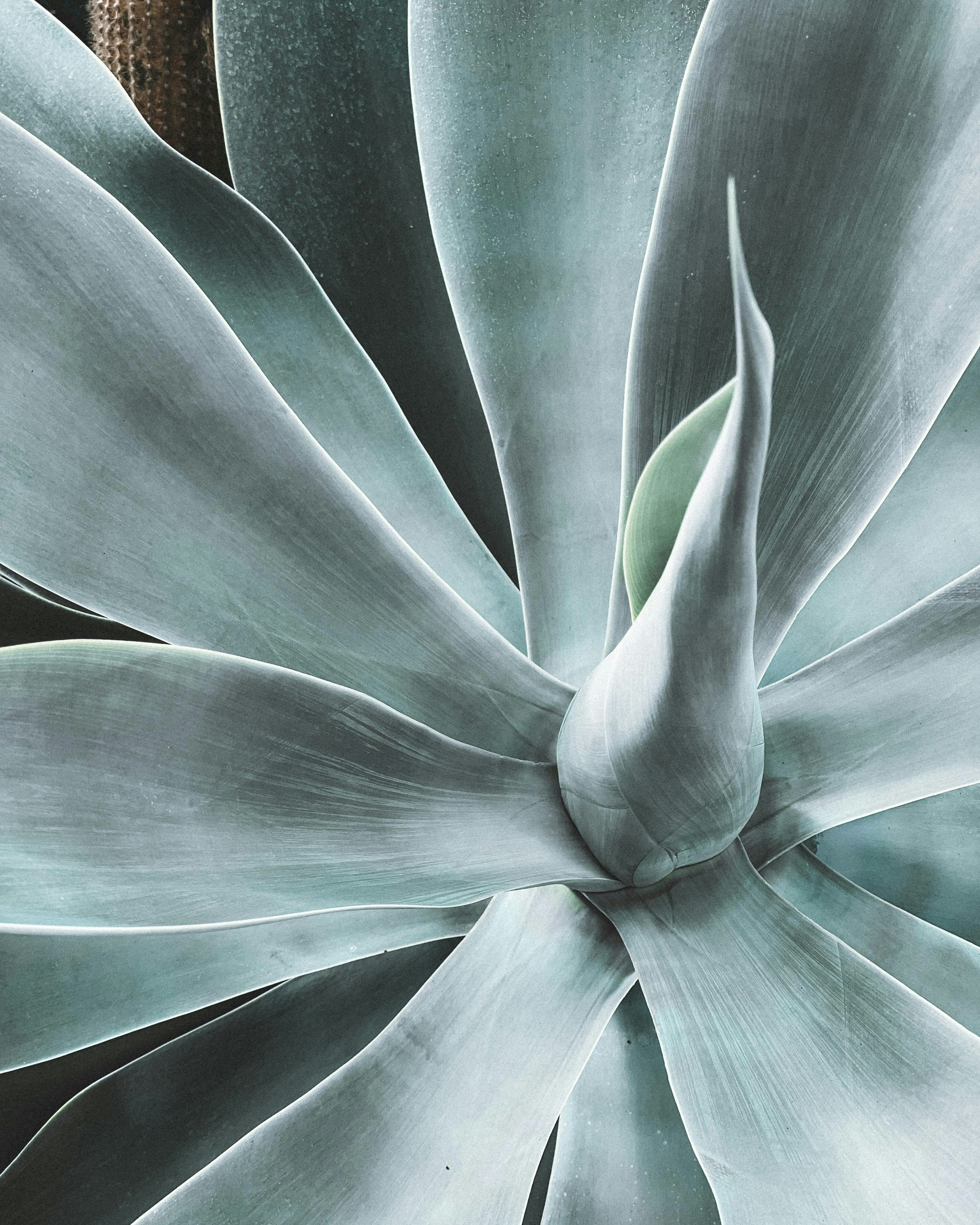 Photo by zvada_photo