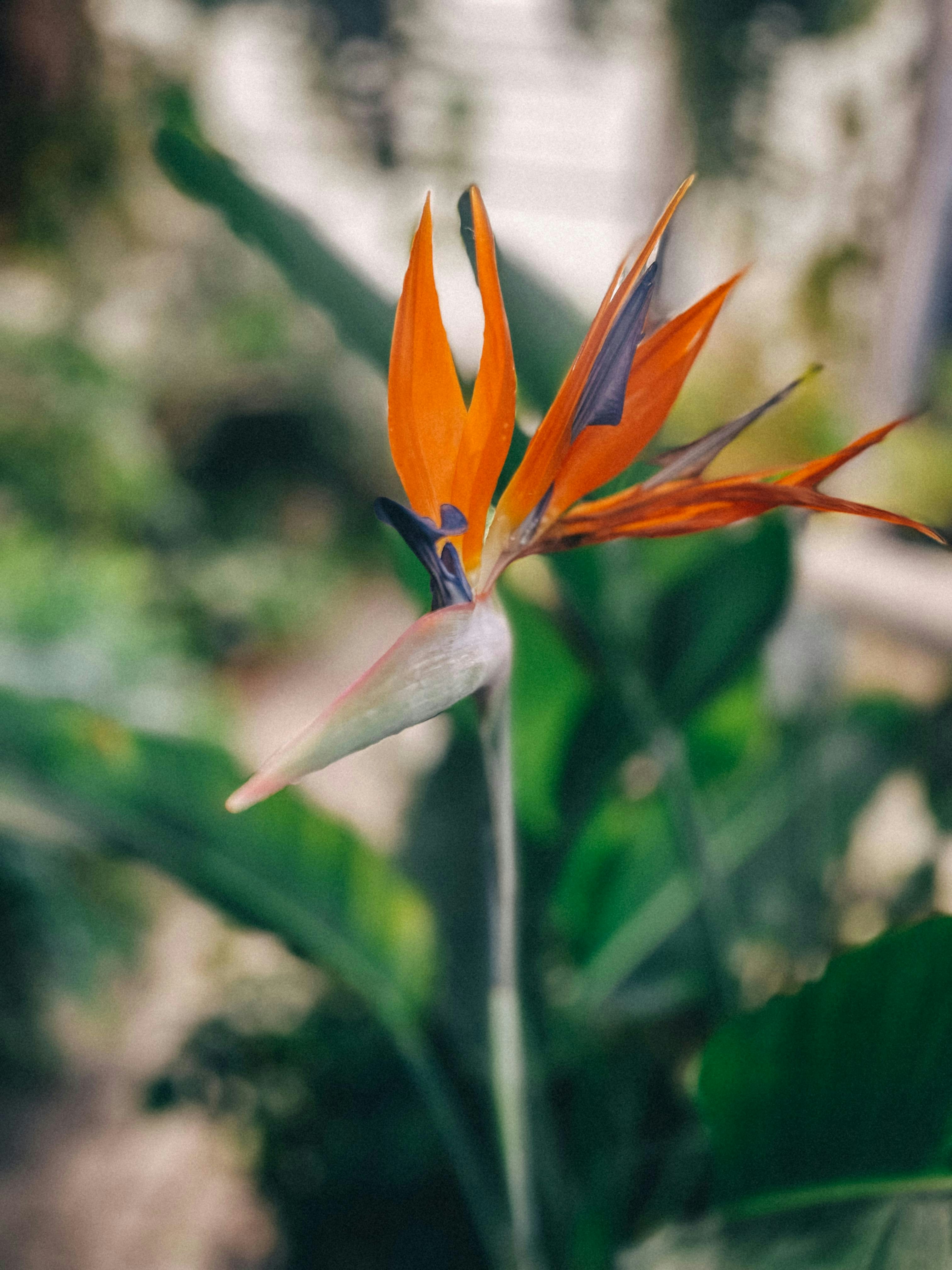 Photo by zvada_photo