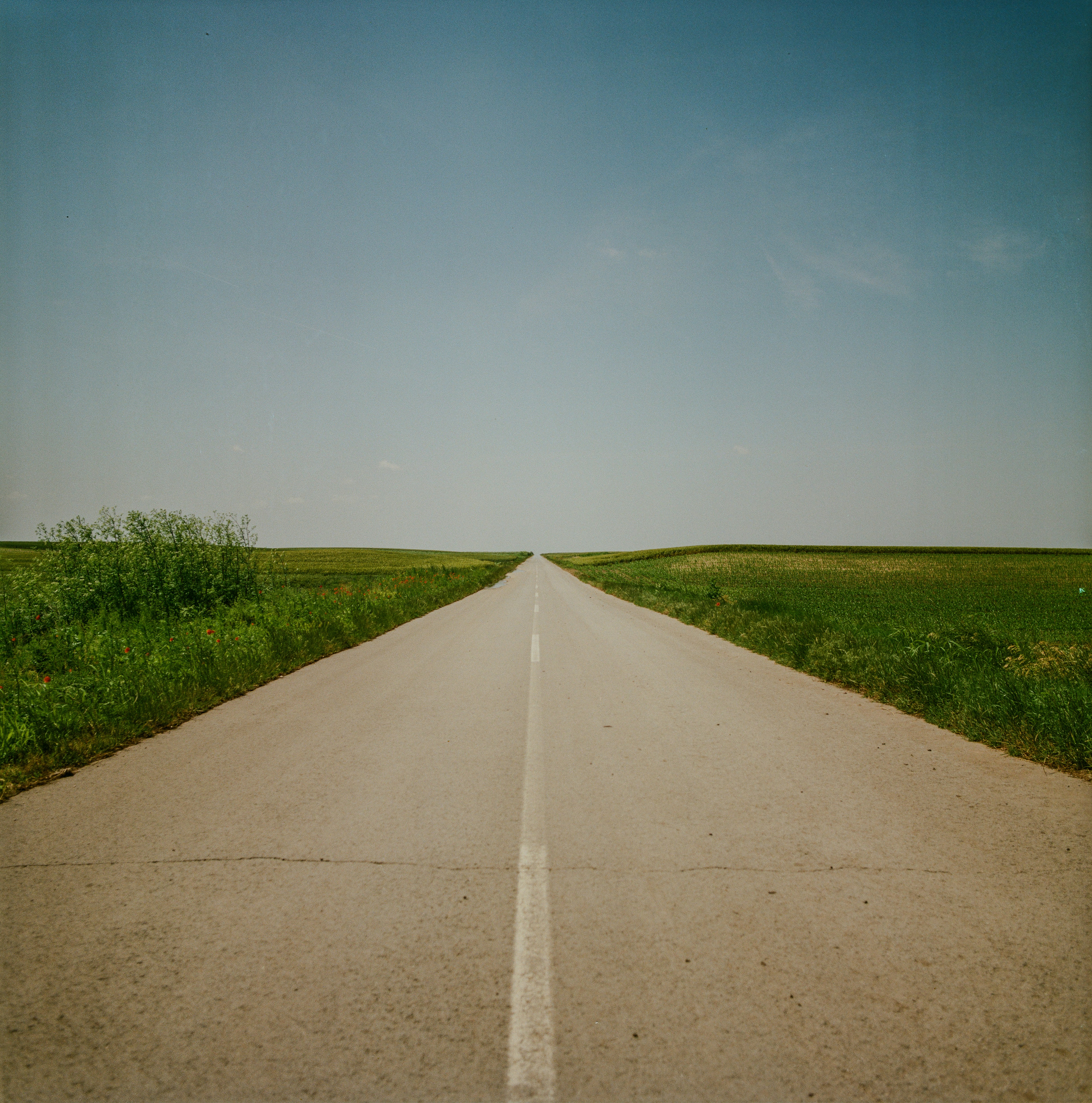 A long empty road with grass on both sides