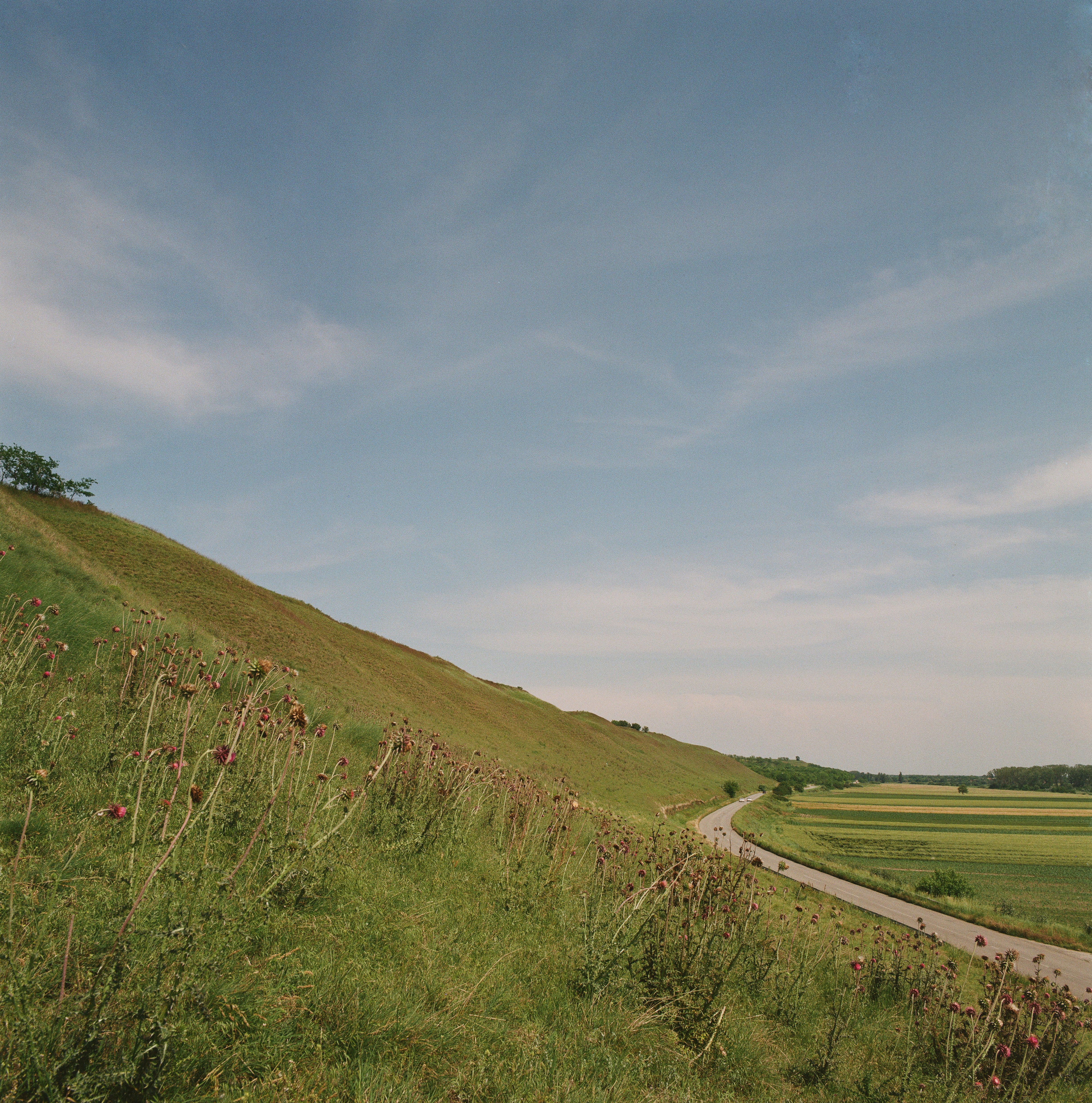 A grassy hill with a road going down it