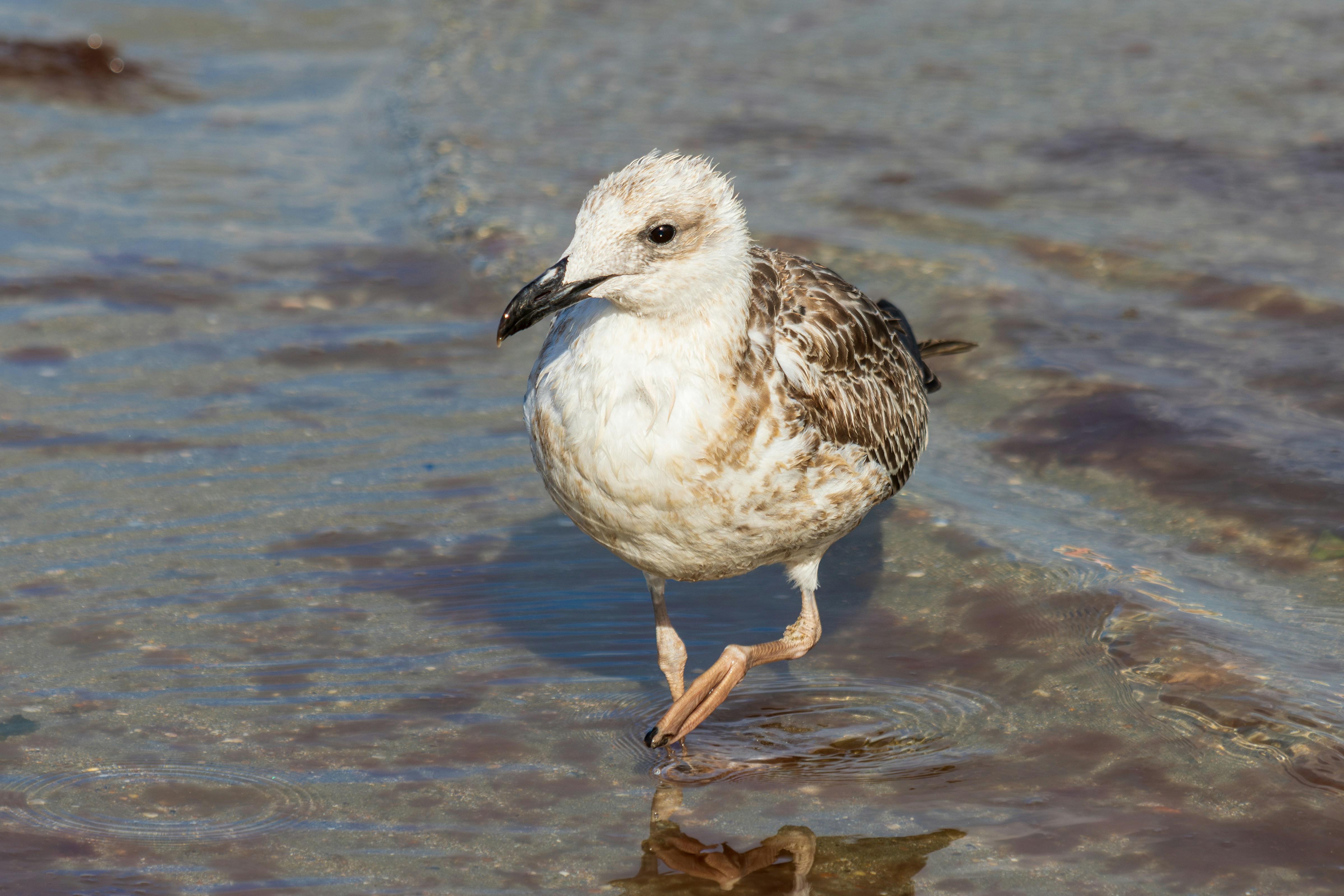 Photo by mechaowlstudios