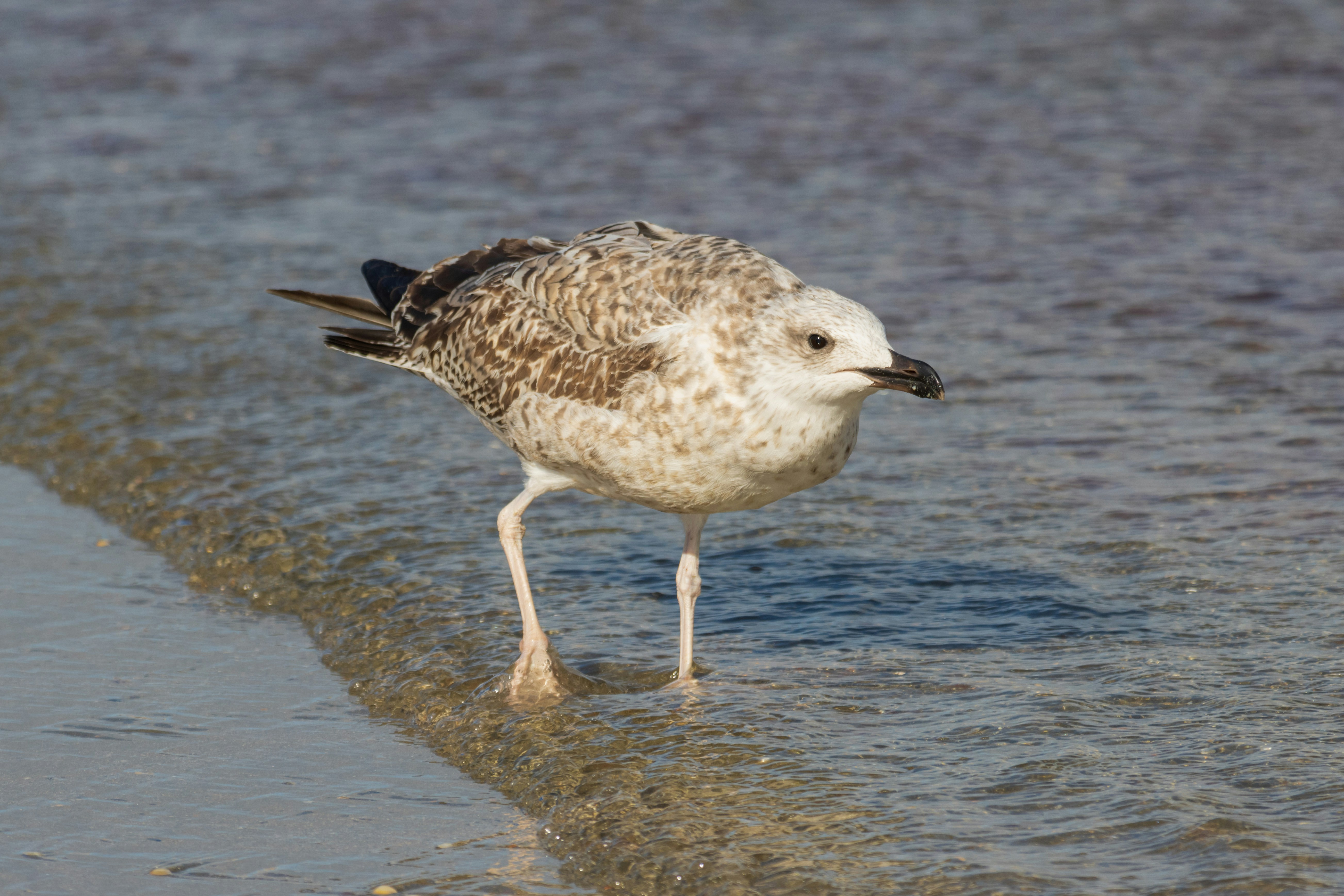 Photo by mechaowlstudios