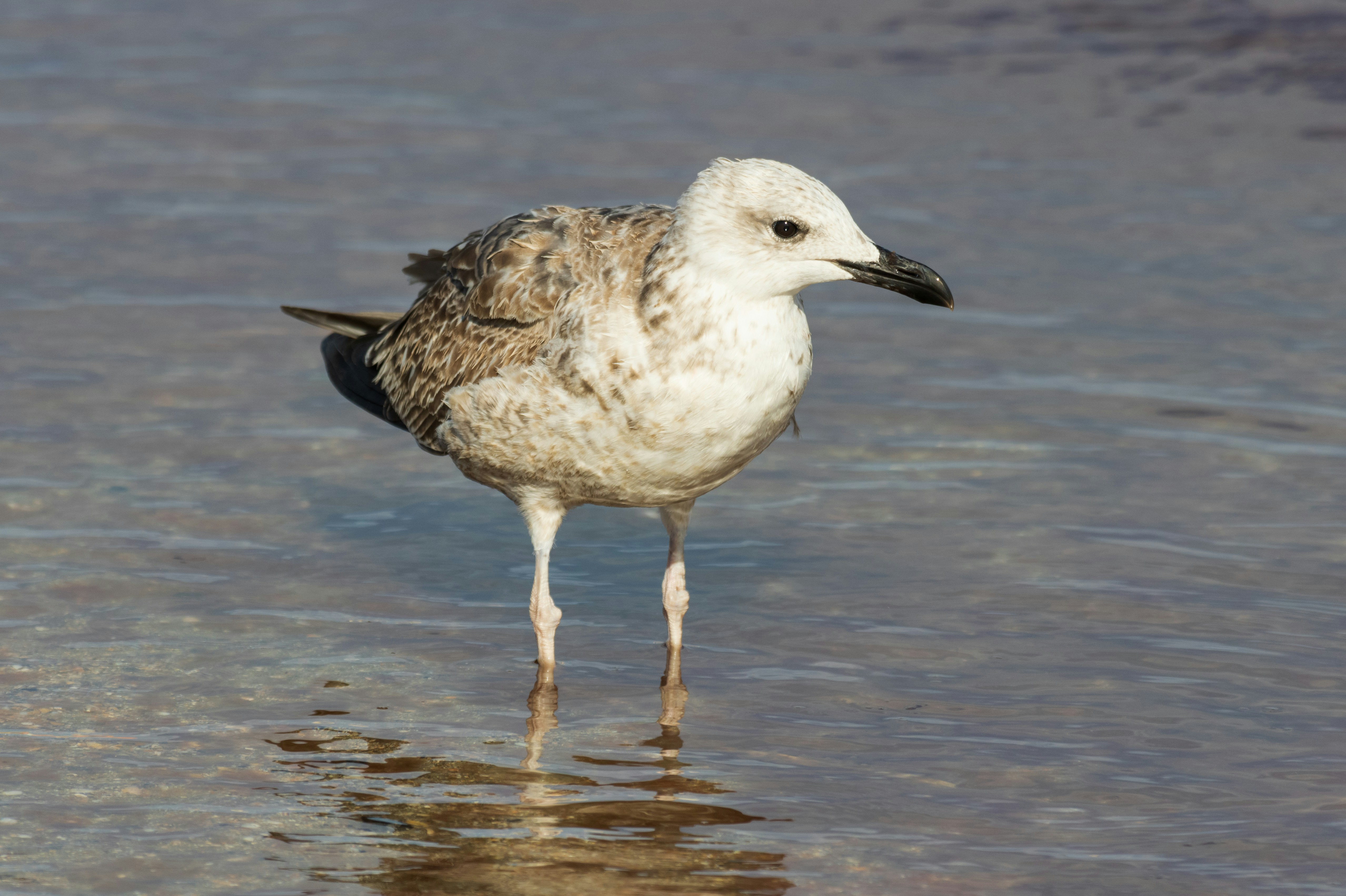 Photo by mechaowlstudios