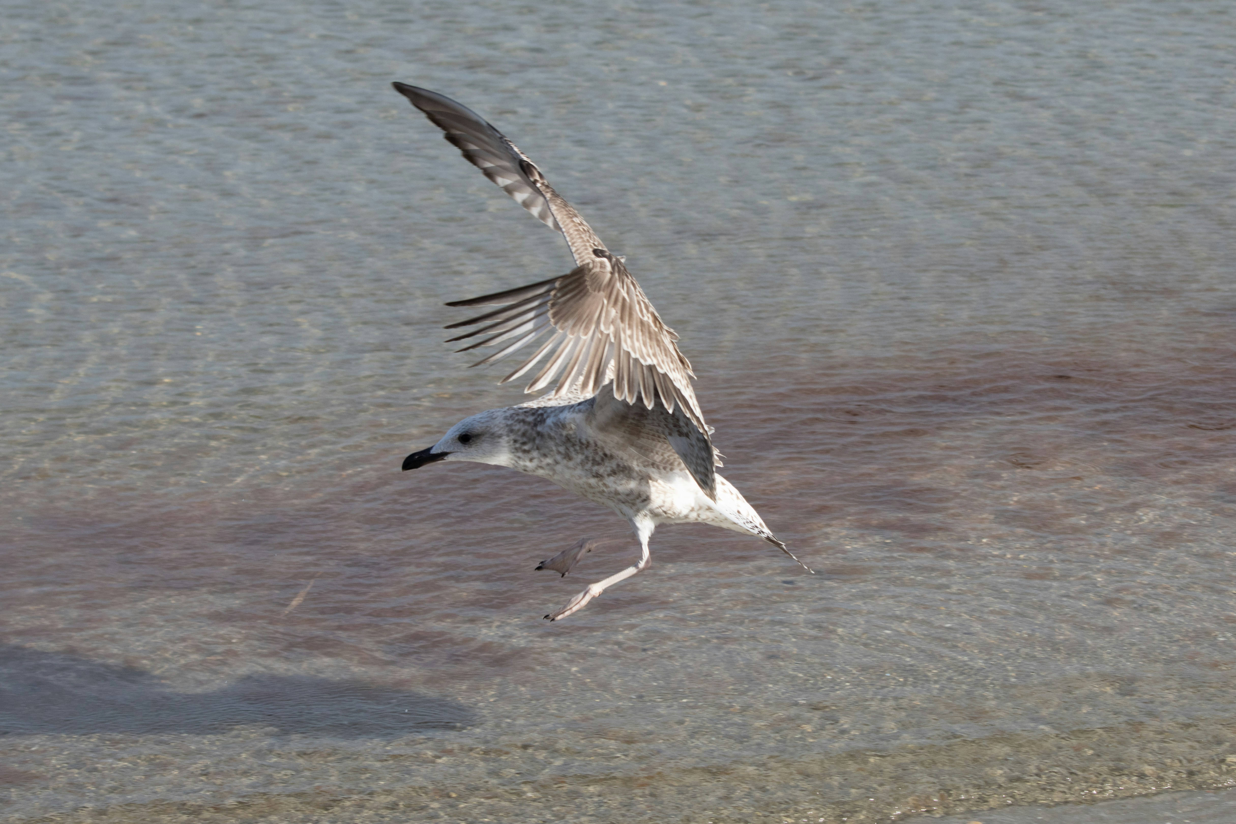 Photo by mechaowlstudios