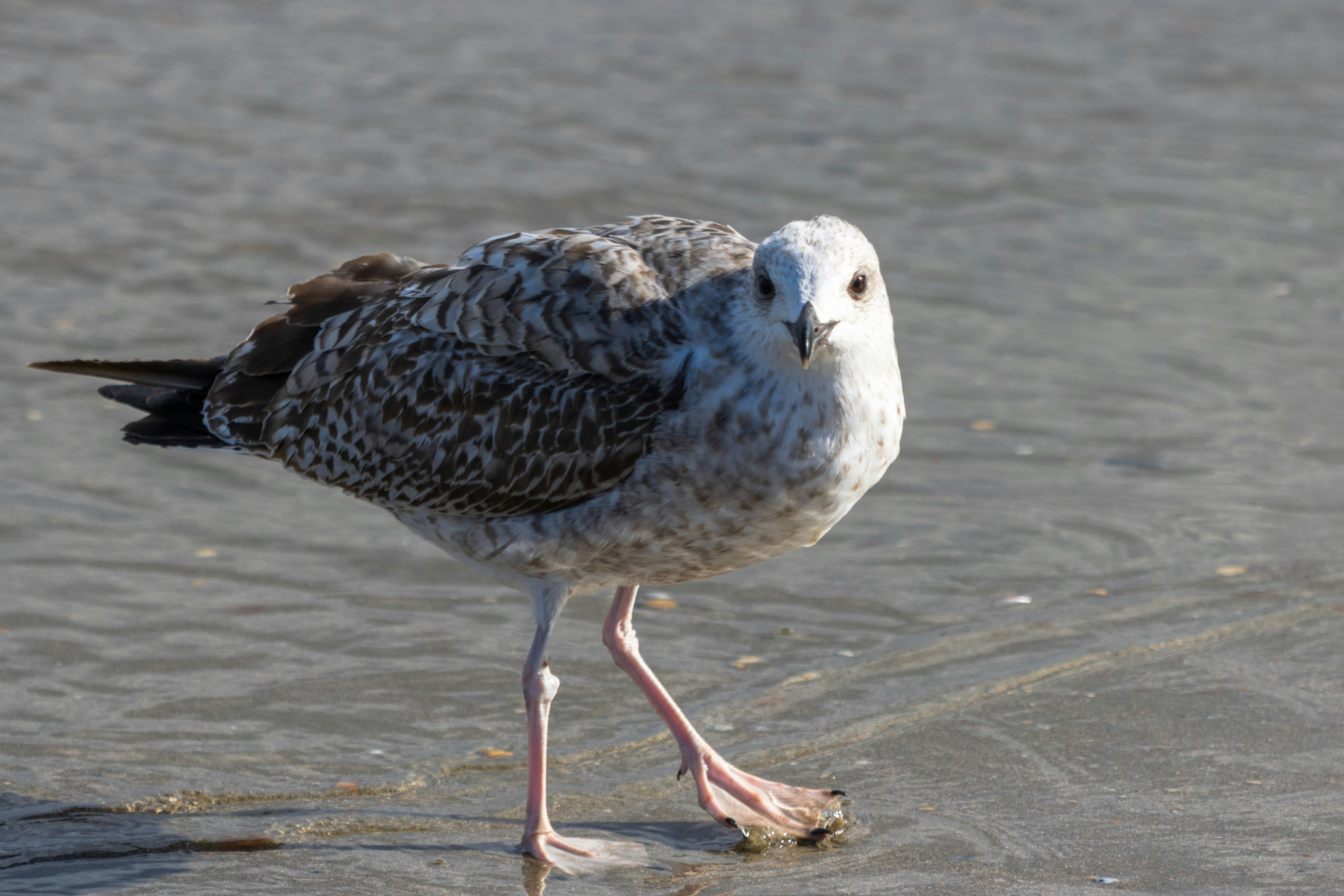 Photo by mechaowlstudios