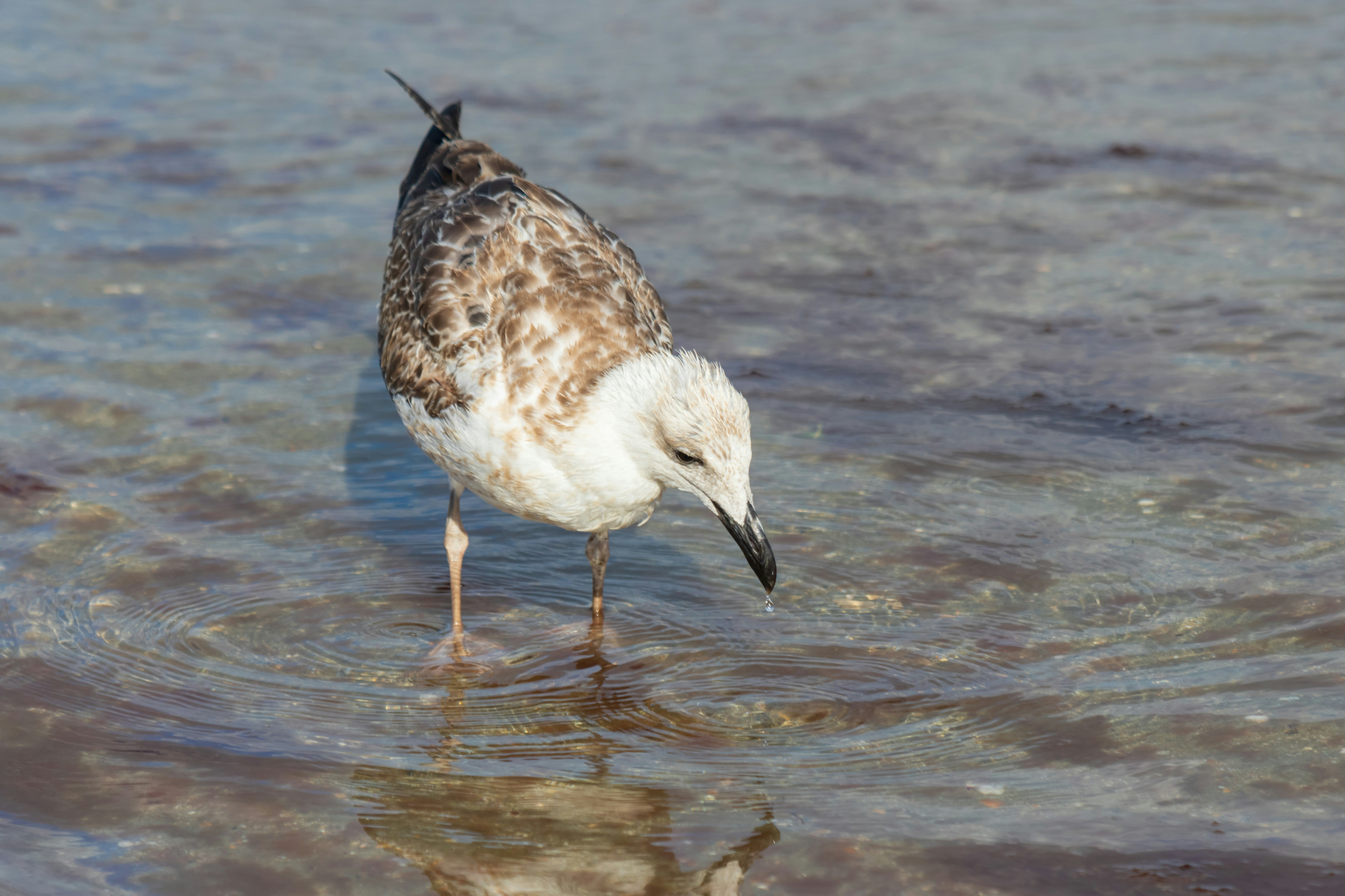 Photo by mechaowlstudios