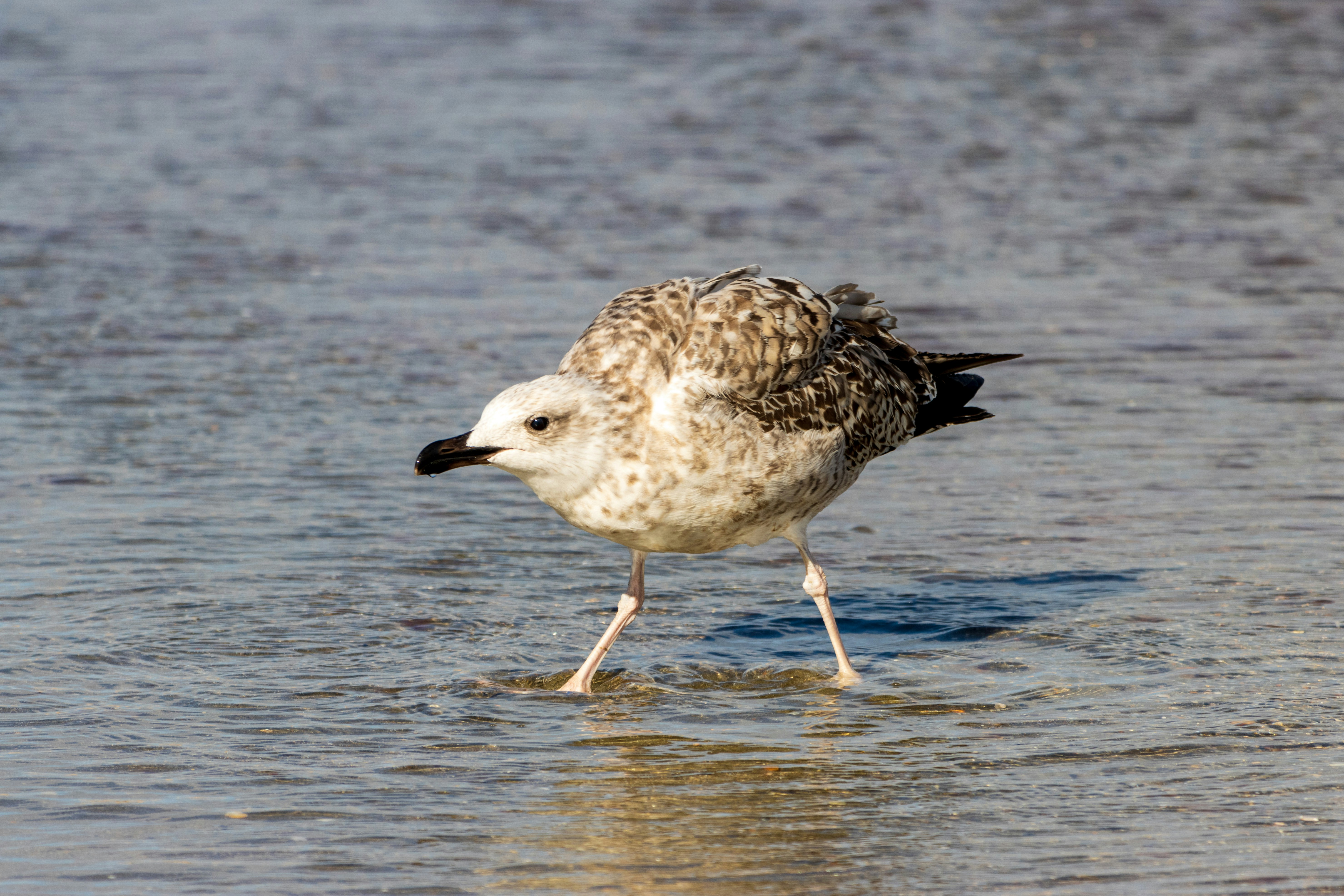 Photo by mechaowlstudios