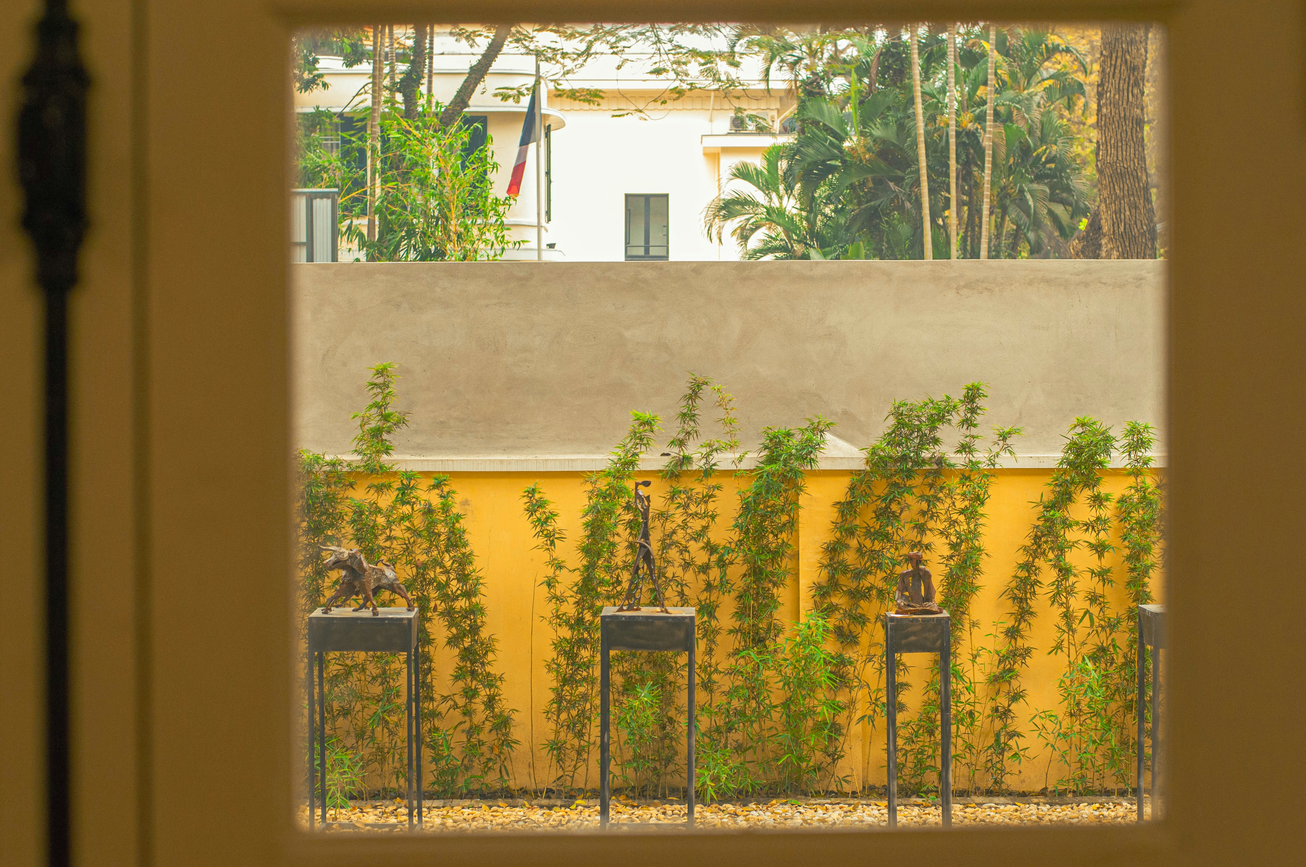 A view of a yellow wall through a window