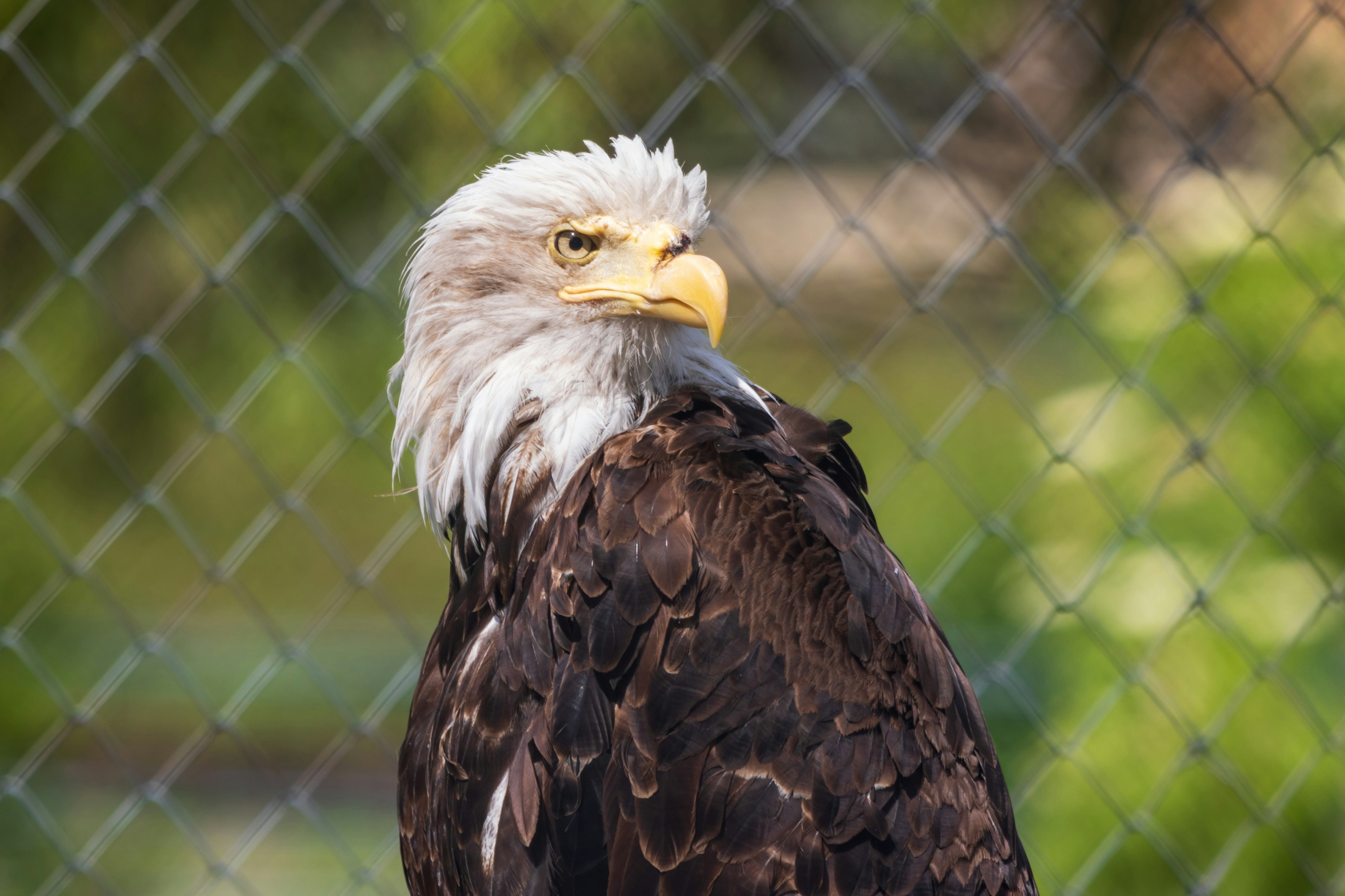 Photo by mechaowlstudios