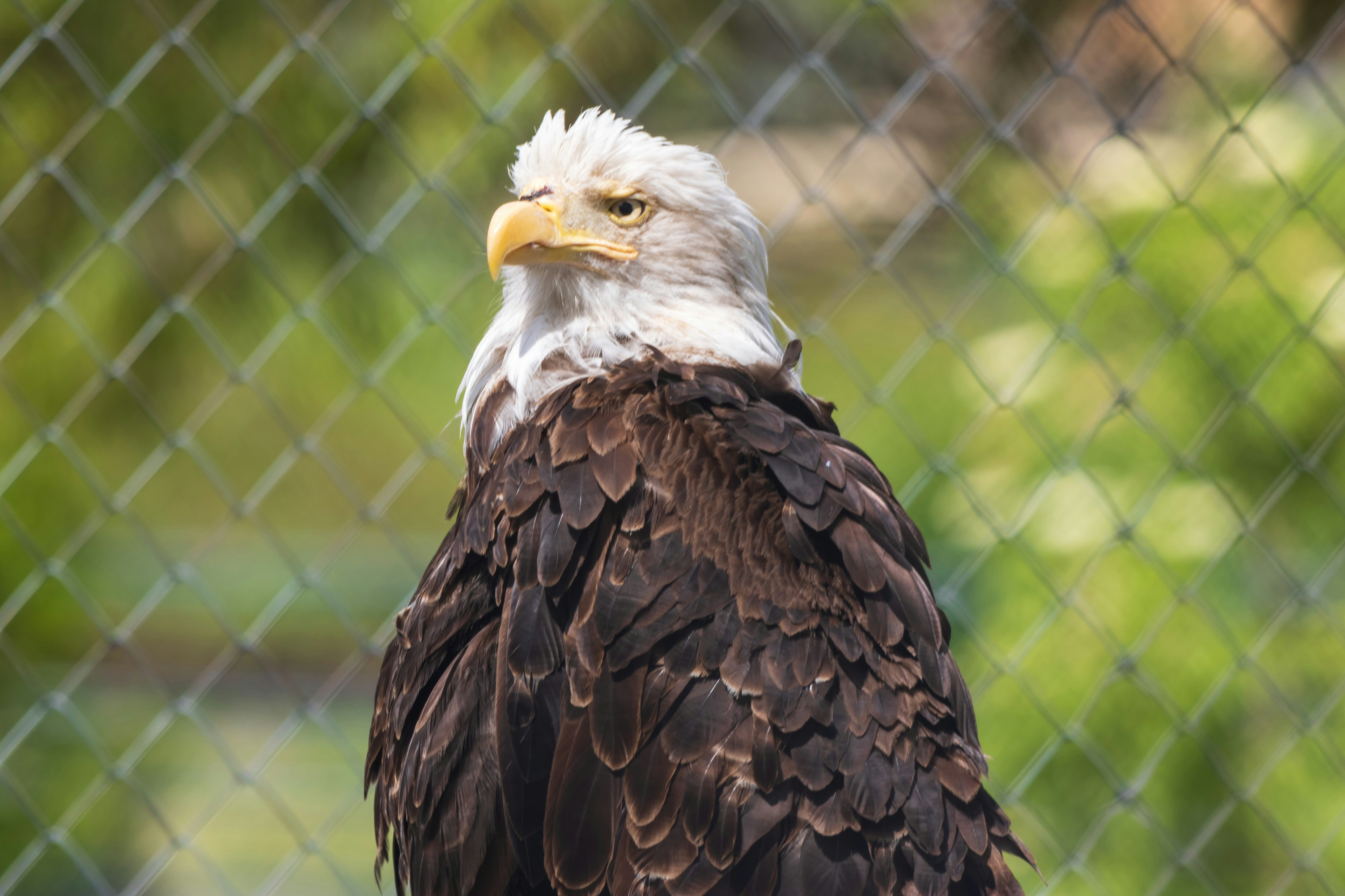 Photo by mechaowlstudios