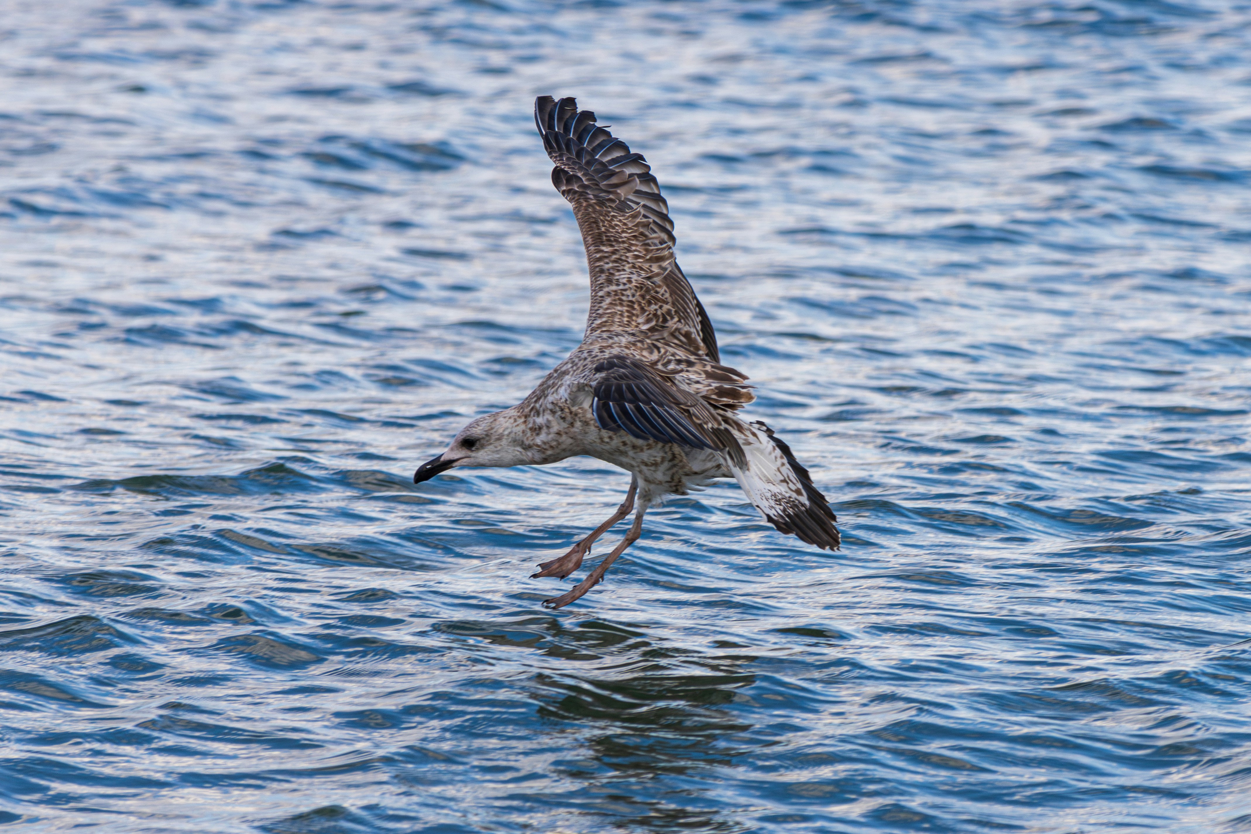 Photo by mechaowlstudios