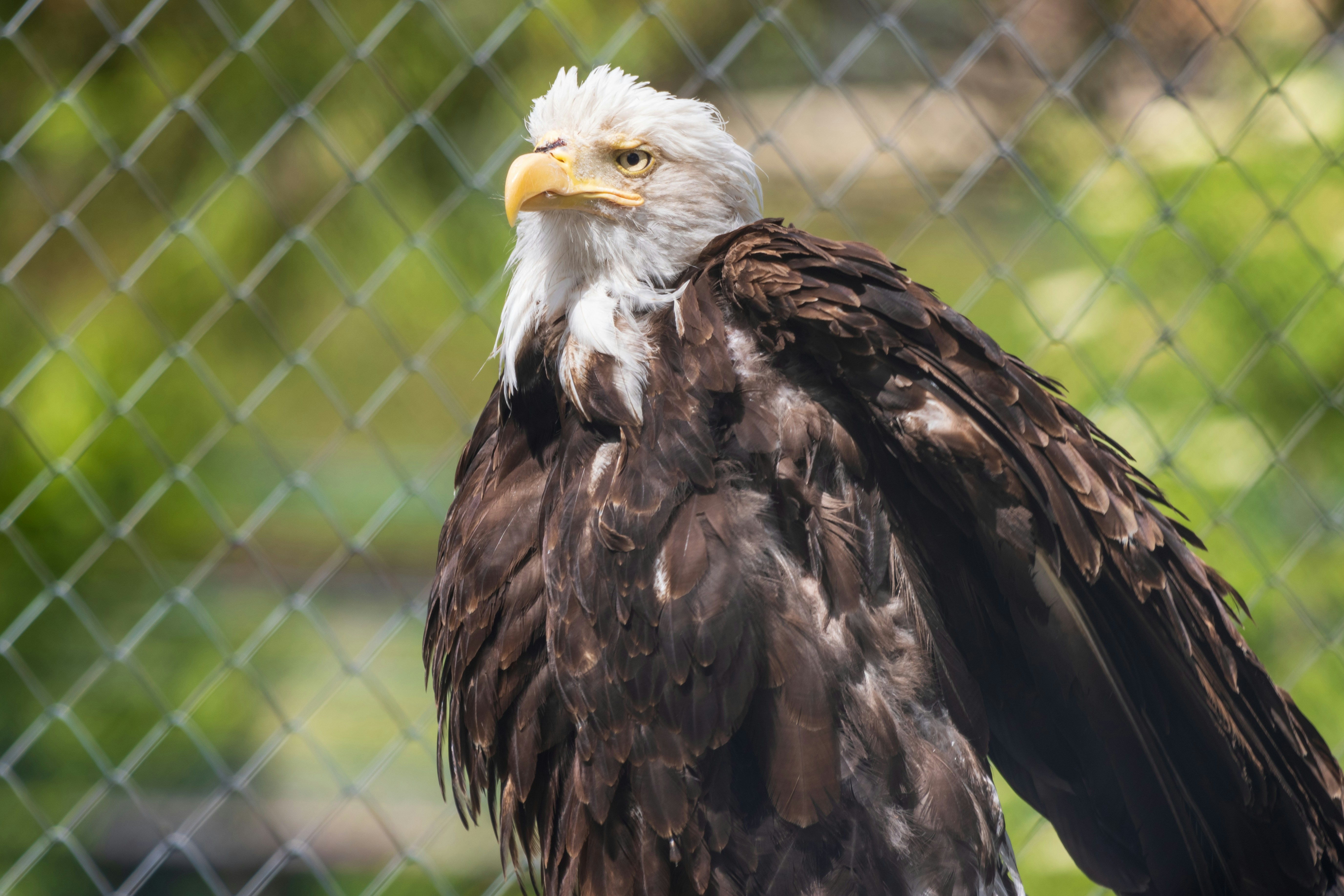 Photo by mechaowlstudios