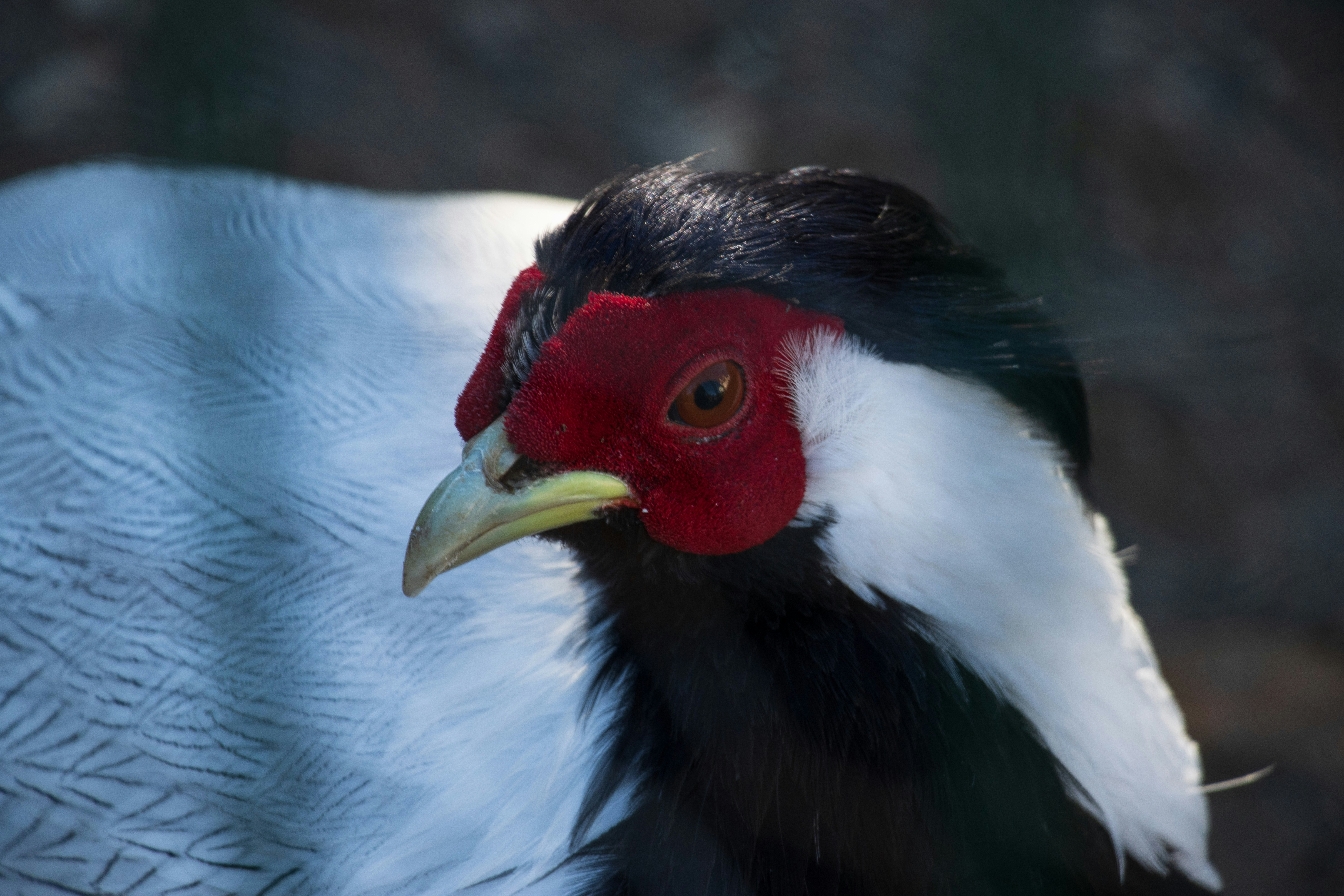 Photo by mechaowlstudios