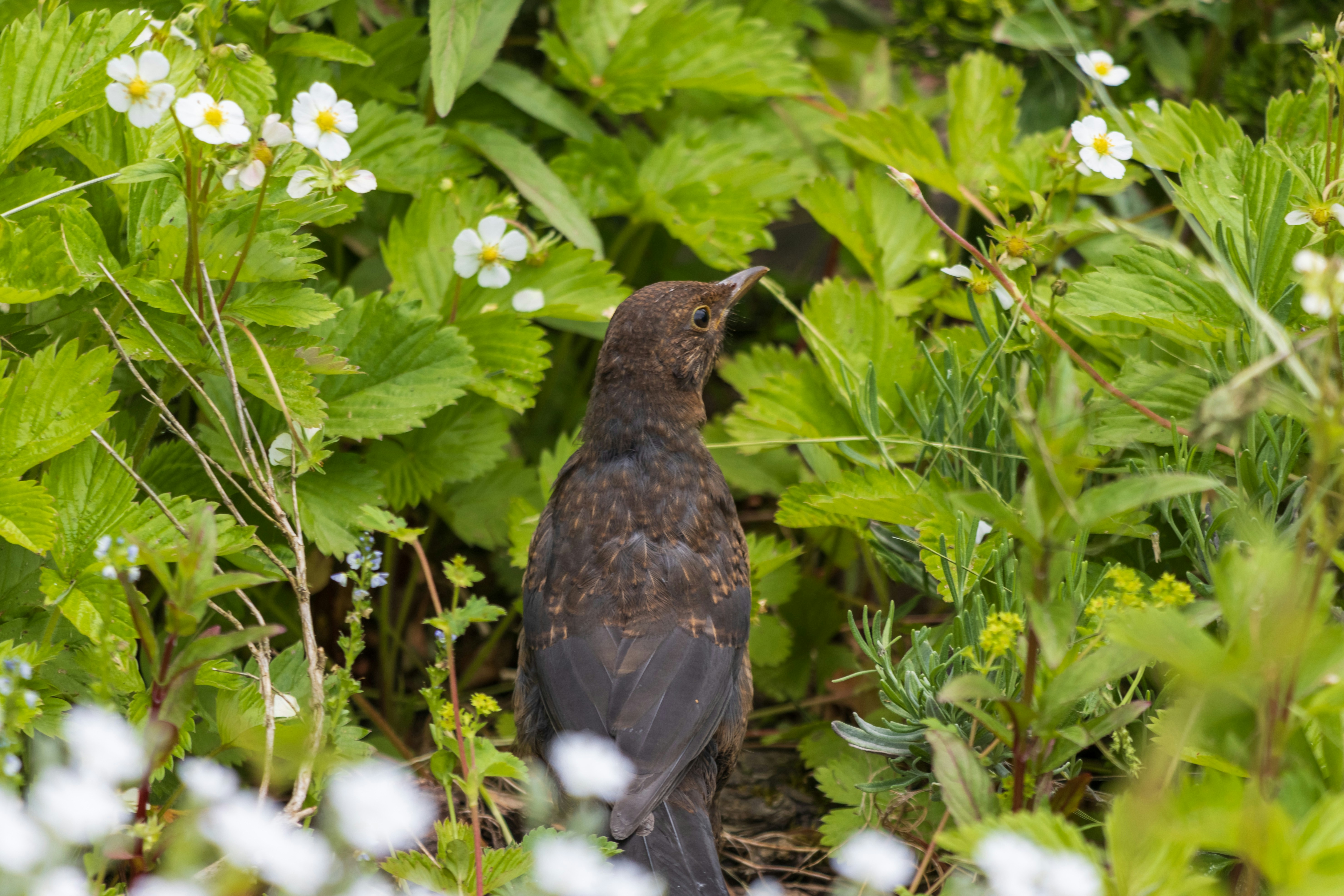 Photo by mechaowlstudios