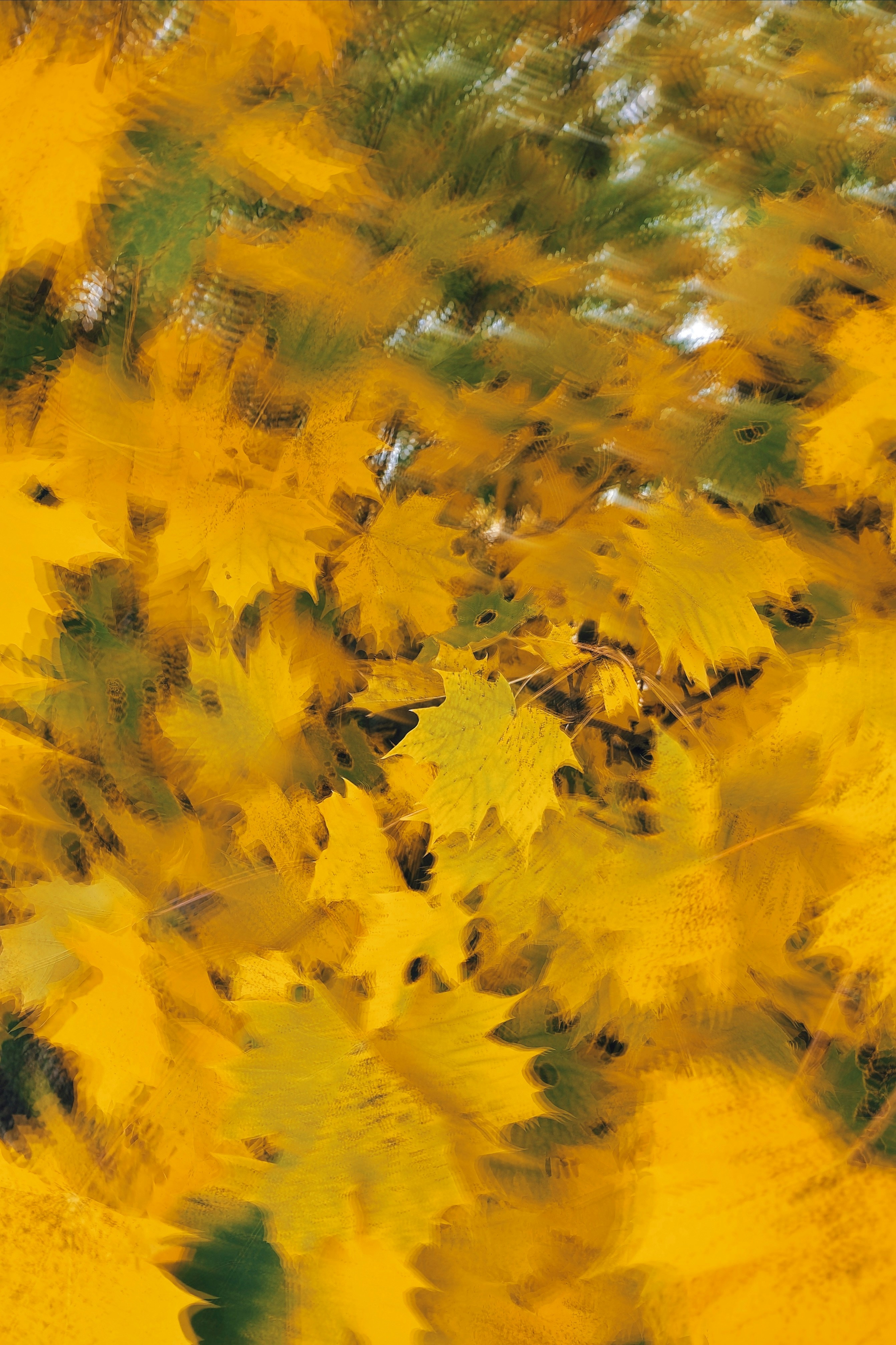 Imágenes de Abstracto Otoño | Descarga imágenes gratuitas en Unsplash
