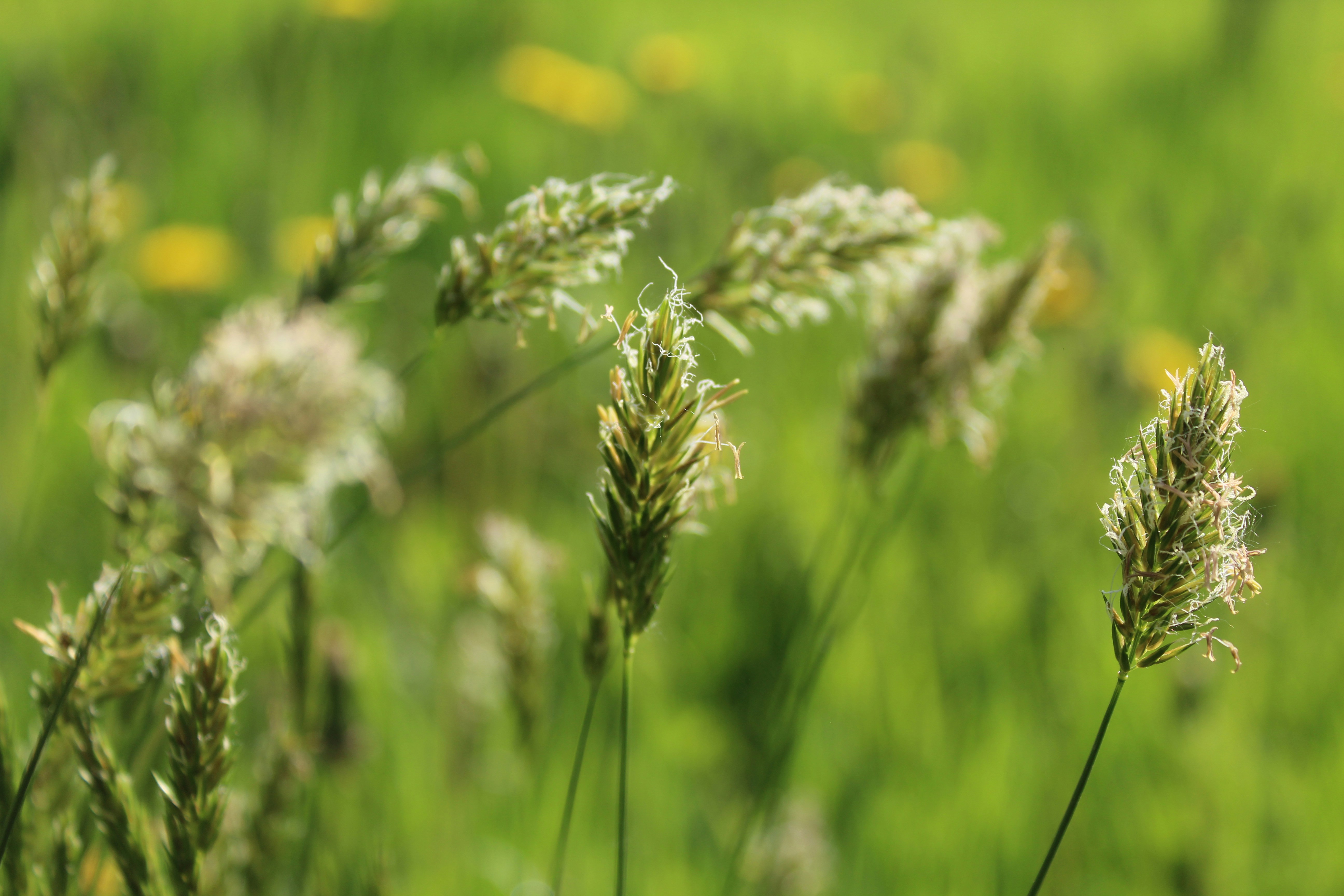 Photo by alys_skowron