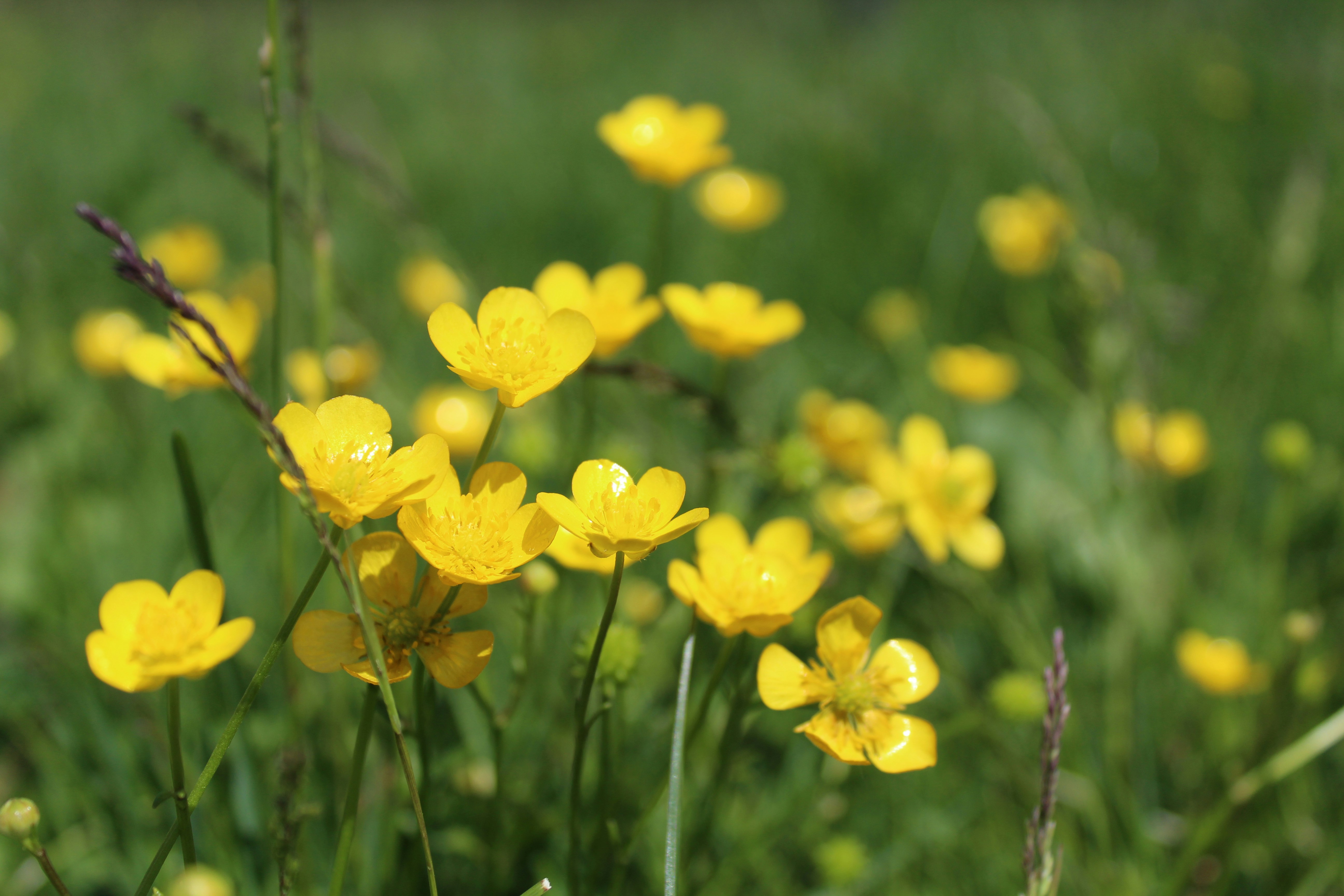 Photo by alys_skowron