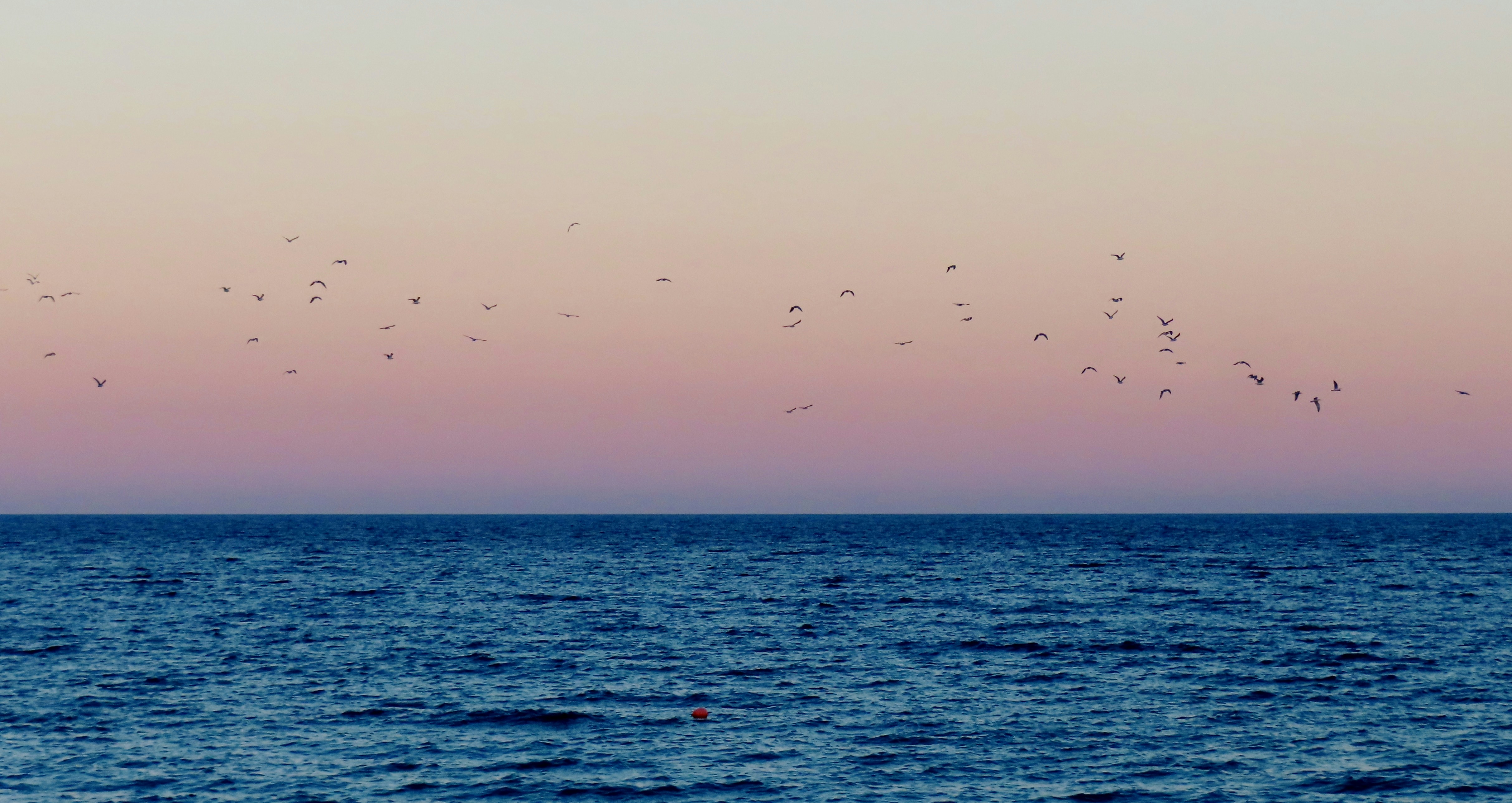 Photo by dieterrohmann