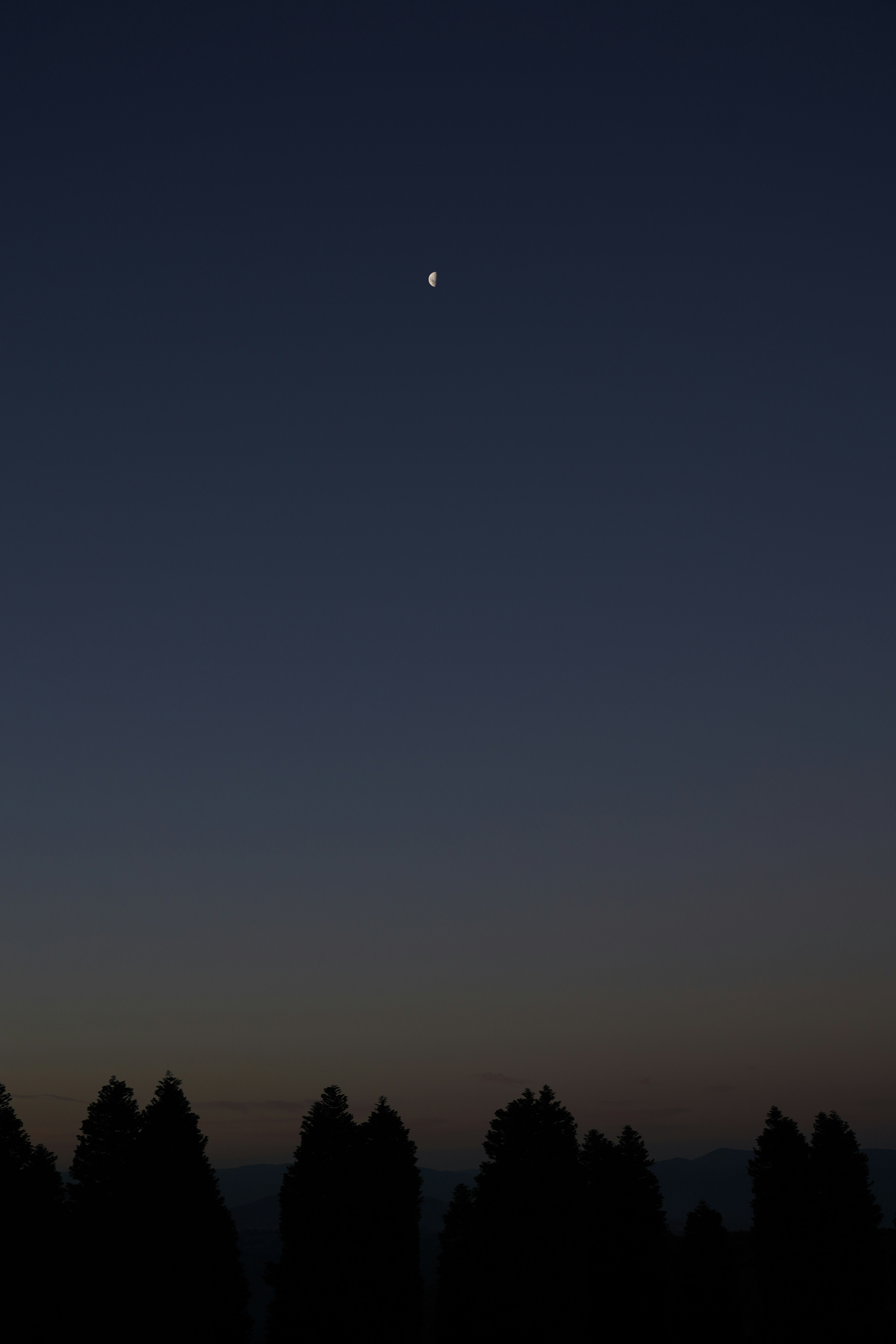 Aboriginal Heritage and Contemporary Australian Culture