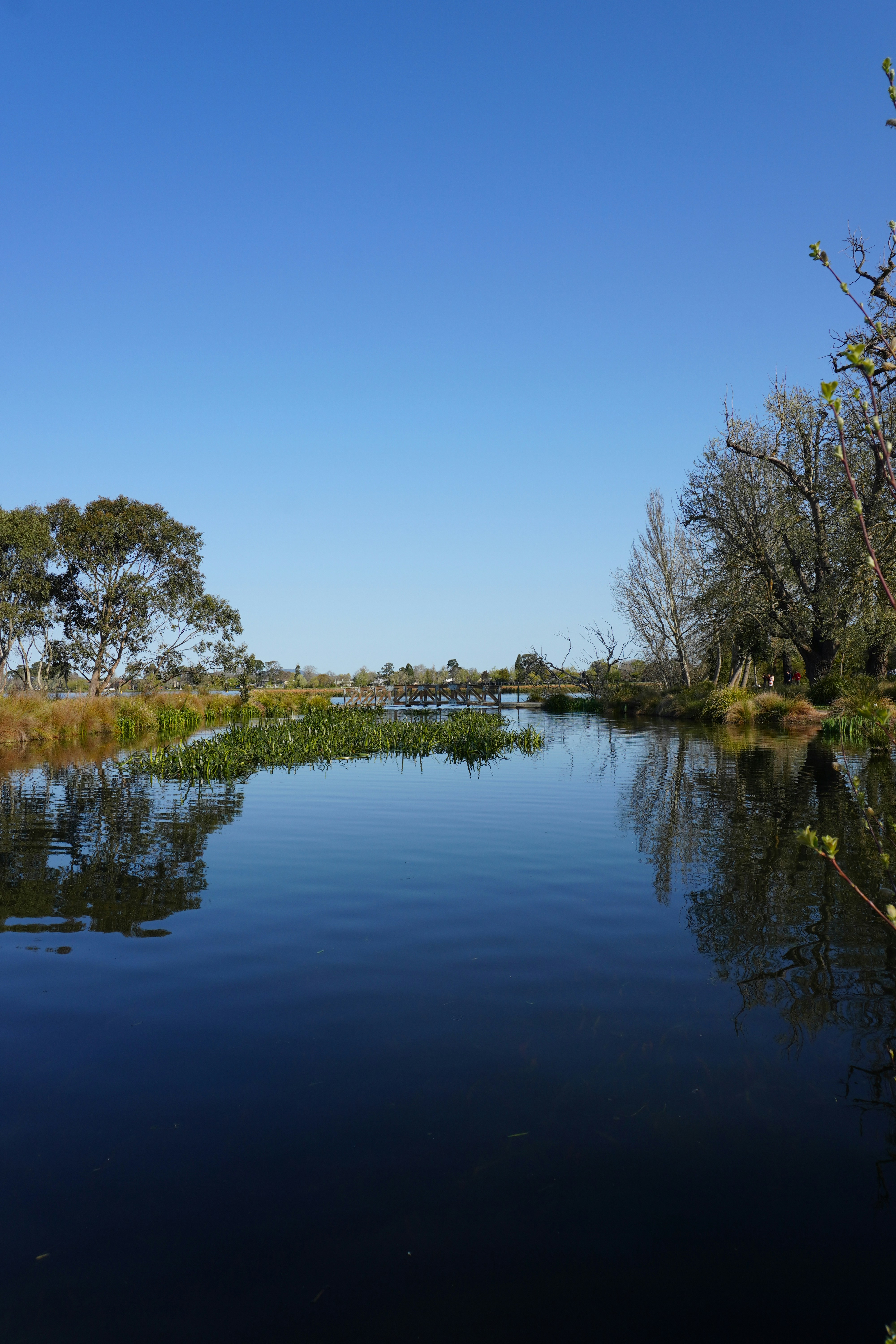 Photo by cherrymacherie