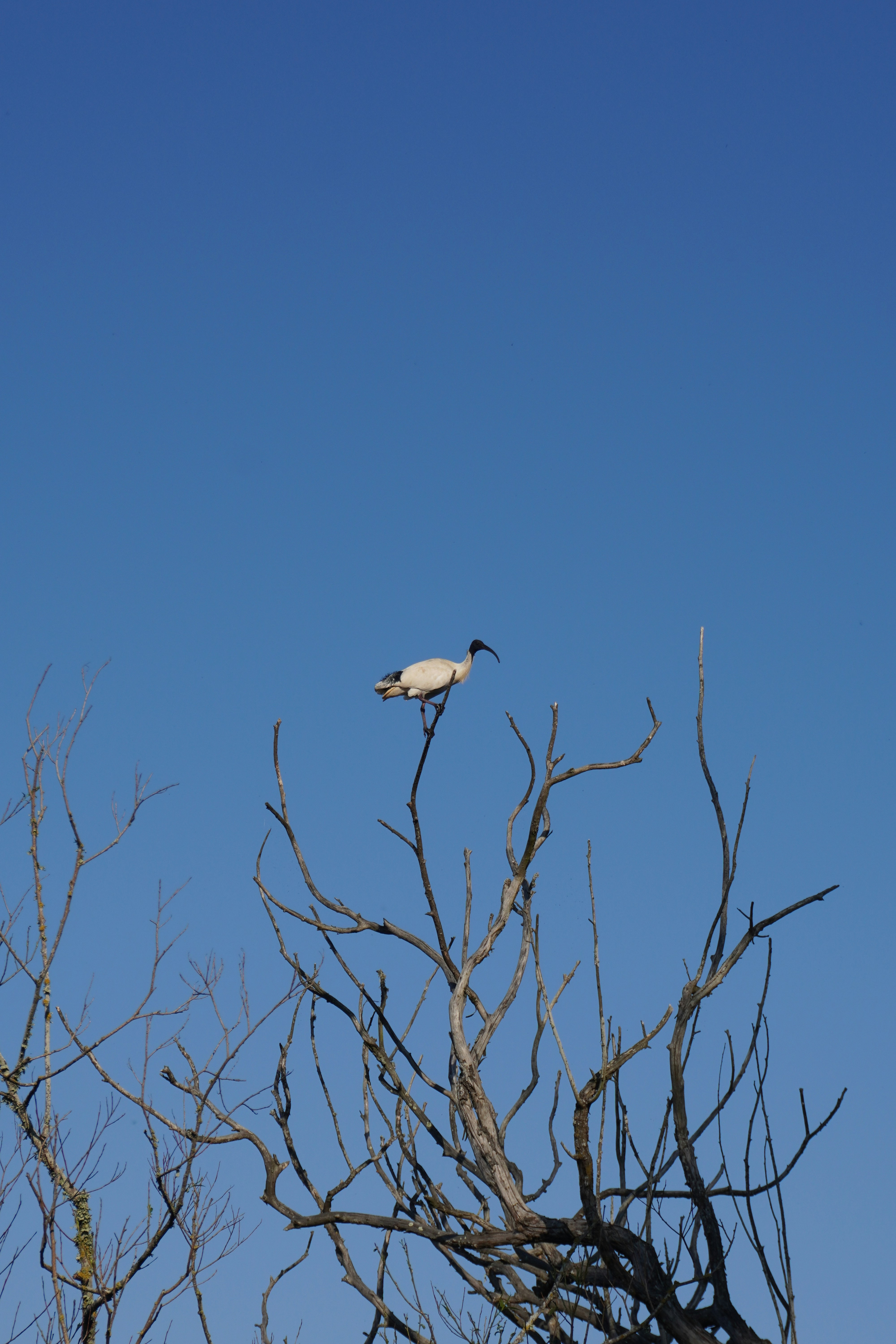 Photo by cherrymacherie