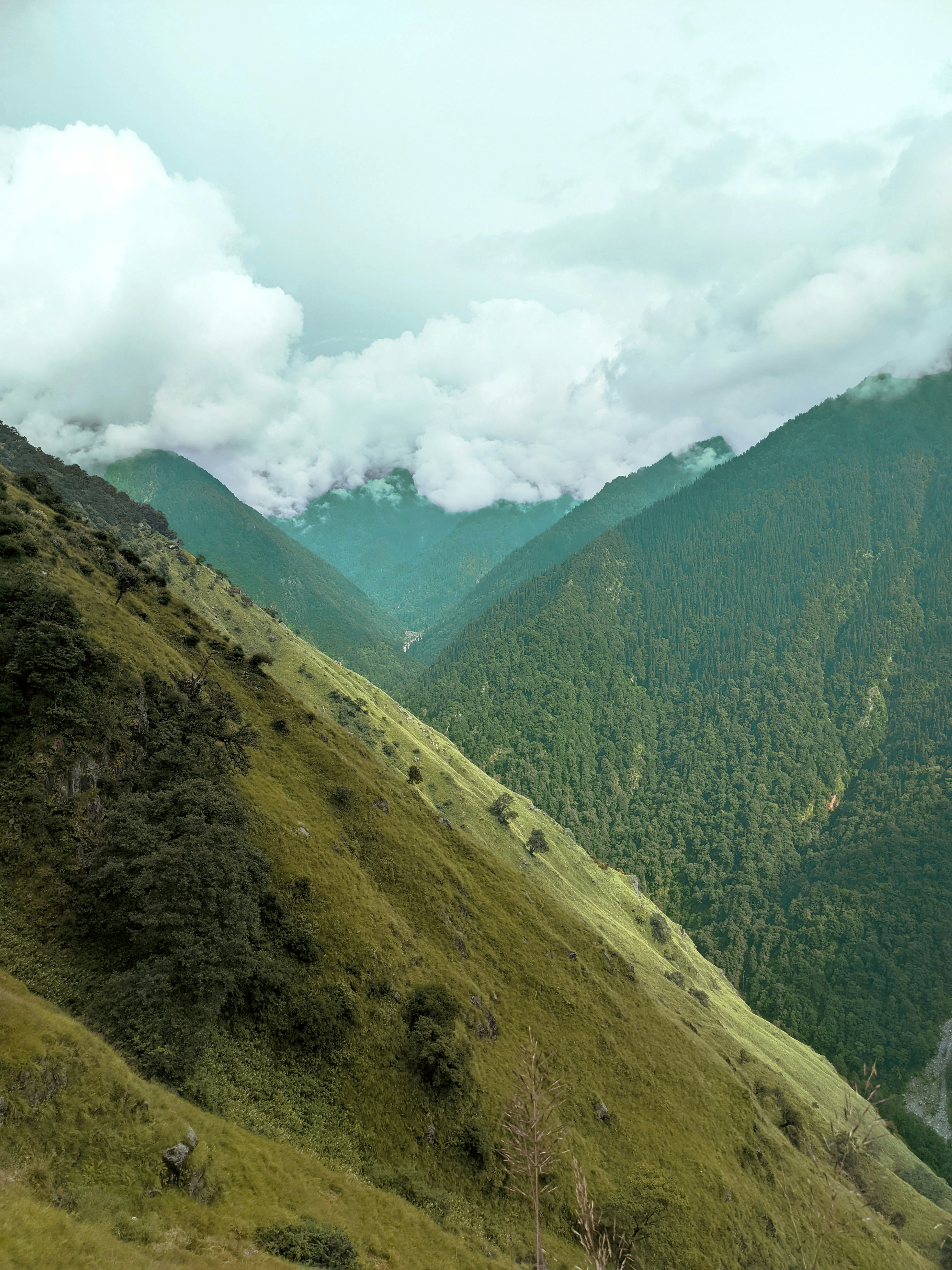 Photo by rohanshah657