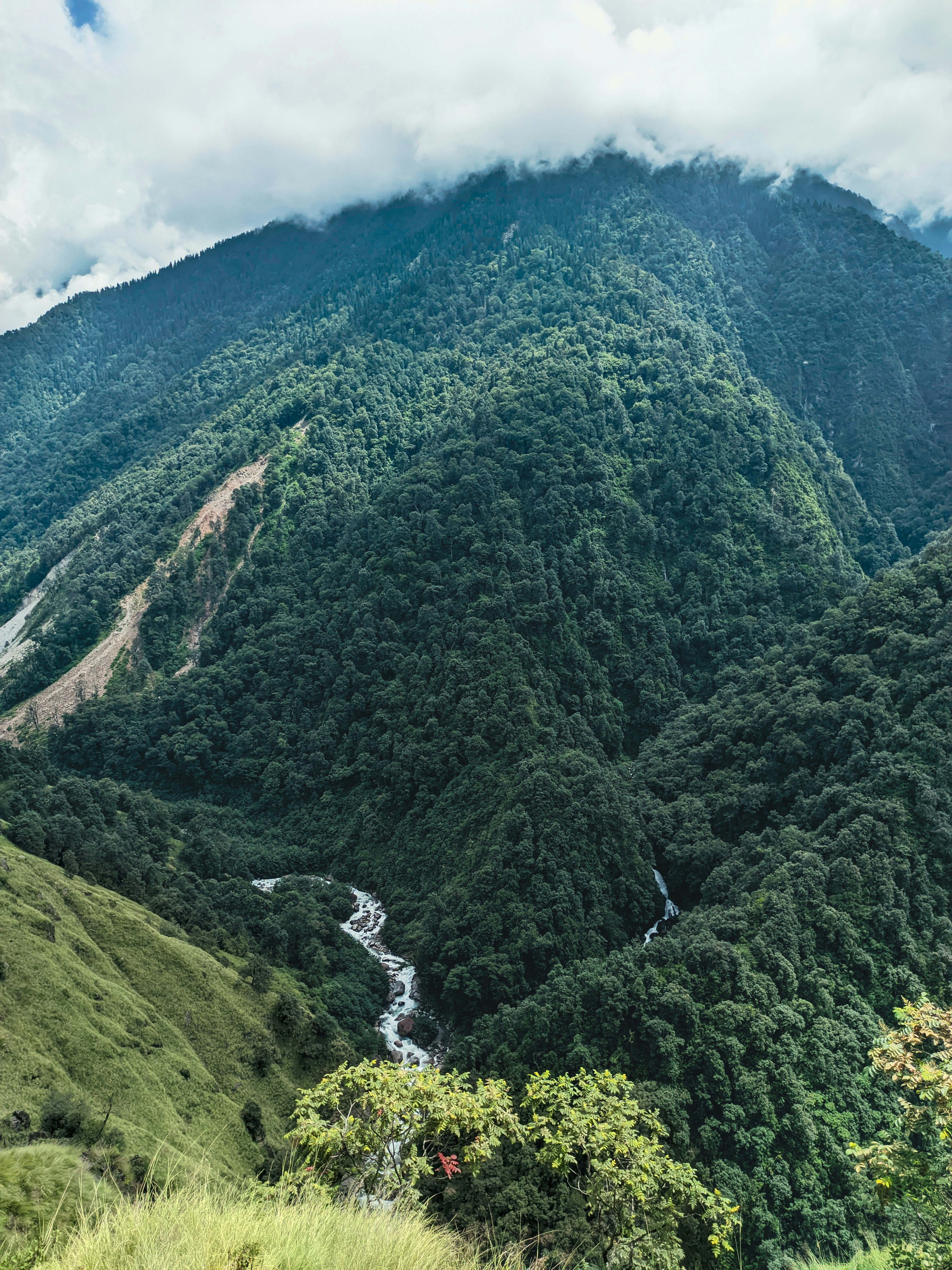 Photo by rohanshah657