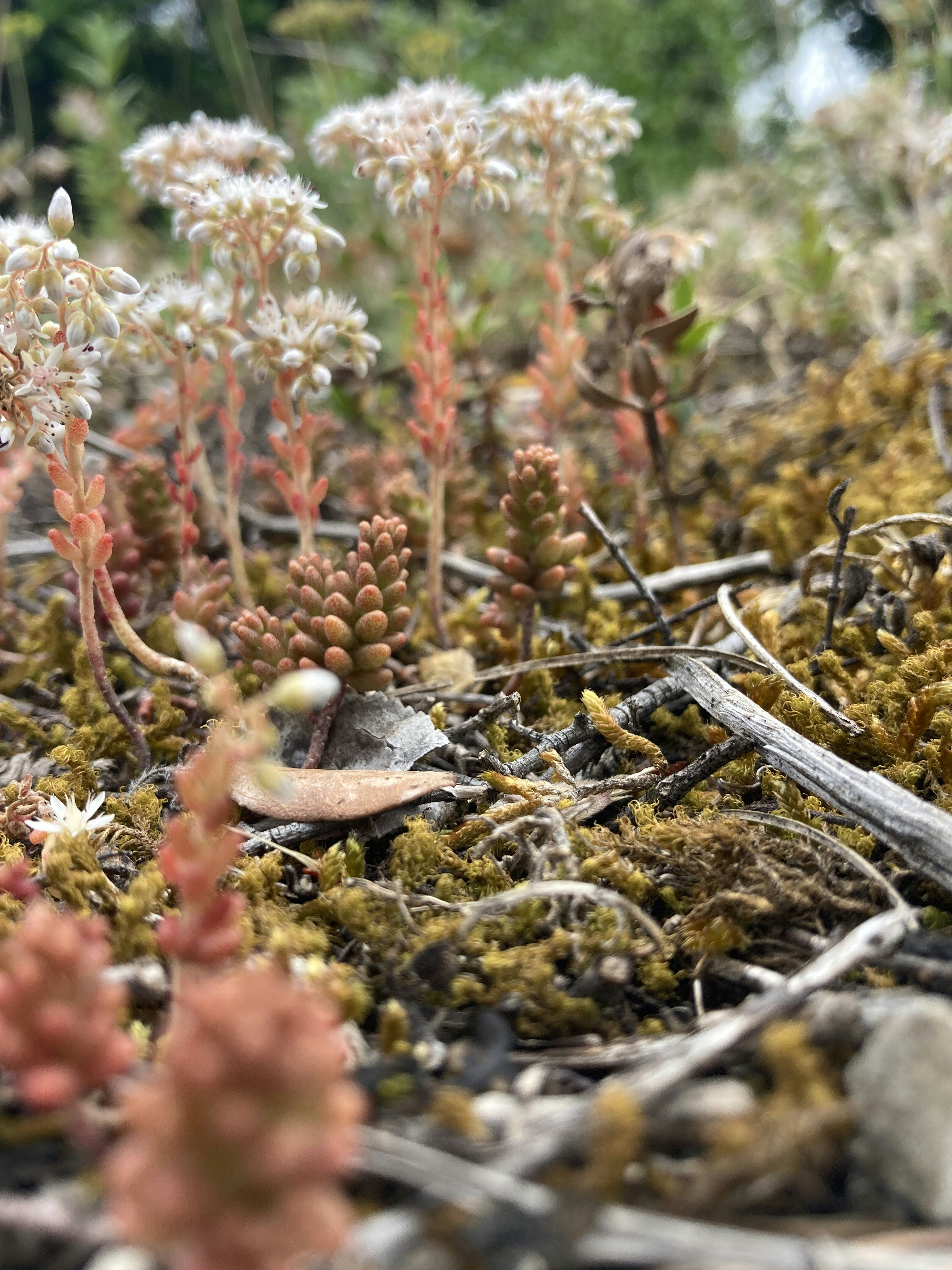 Photo by katefrankfurt