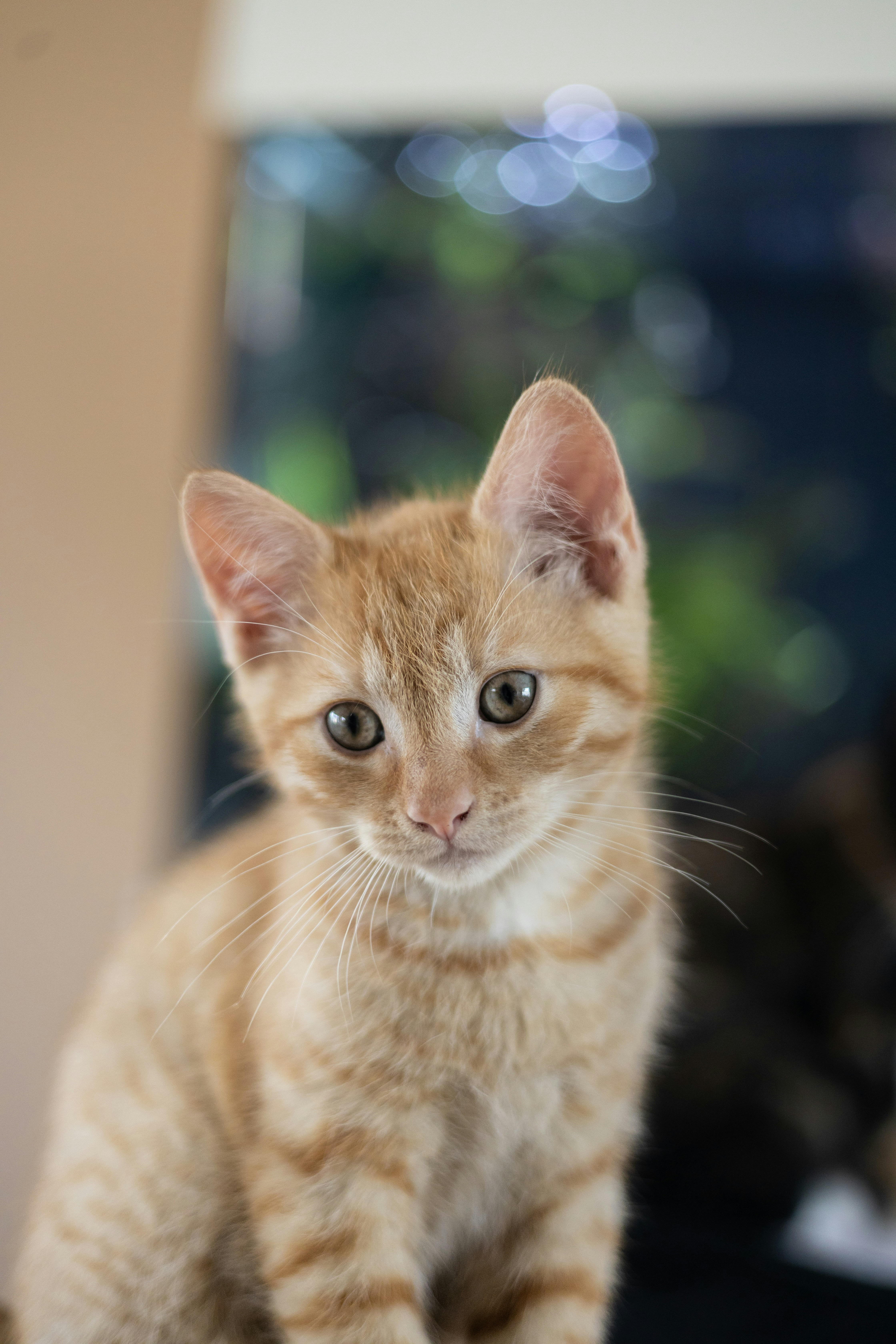 Photo by thomas_de_fretes