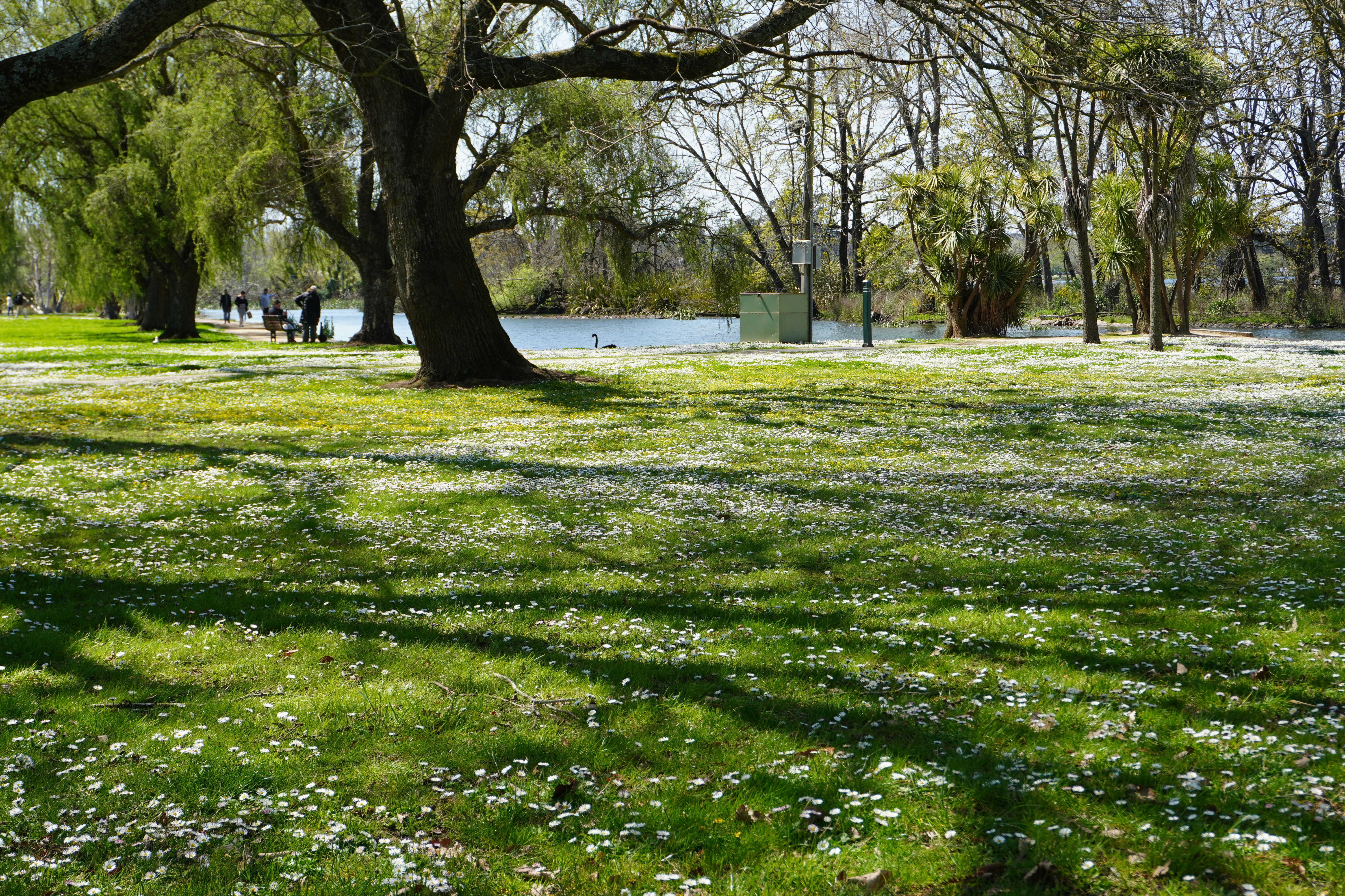 Photo by cherrymacherie