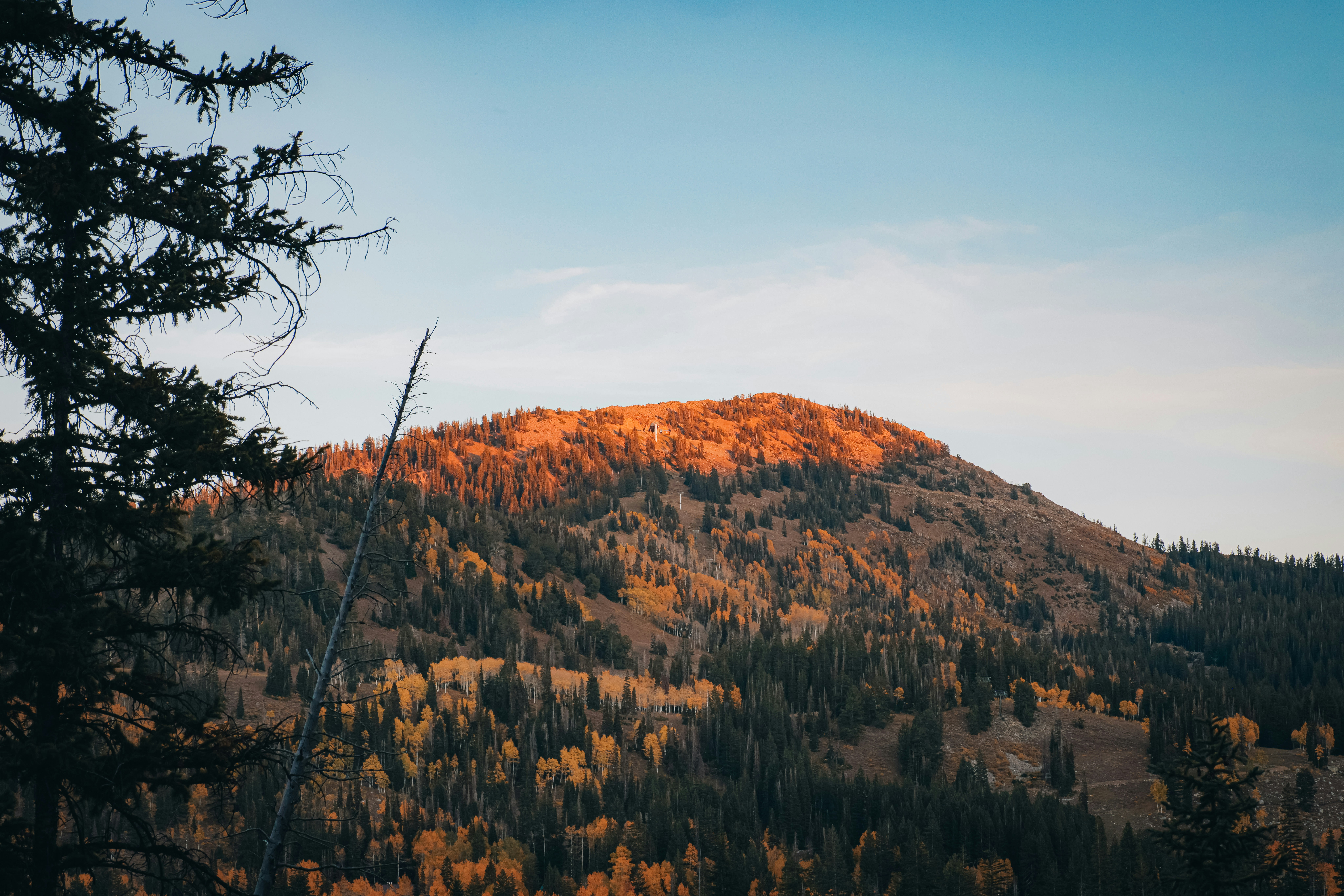 Photo by isaactmitchell