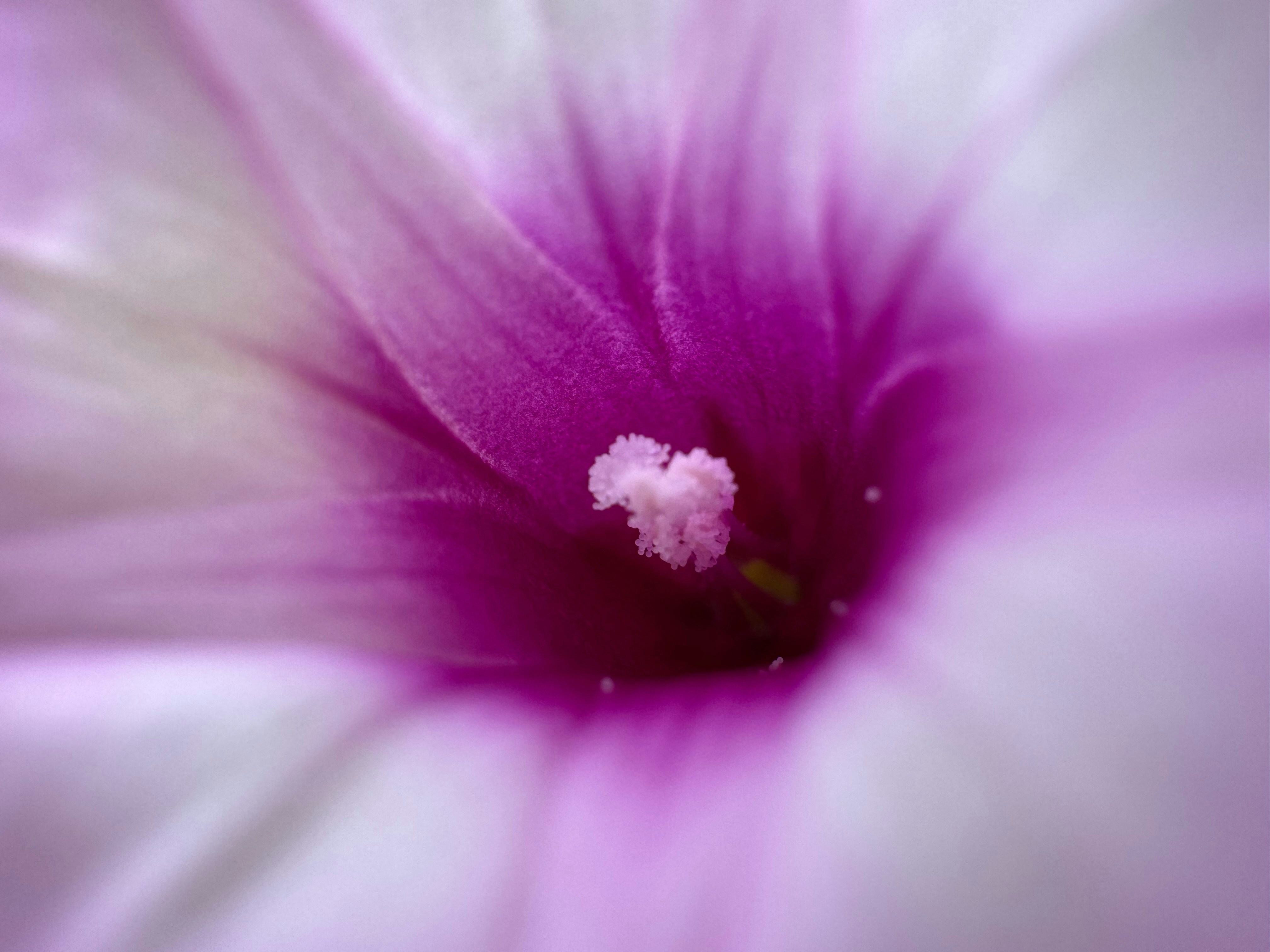 Photo by yuanliang0524