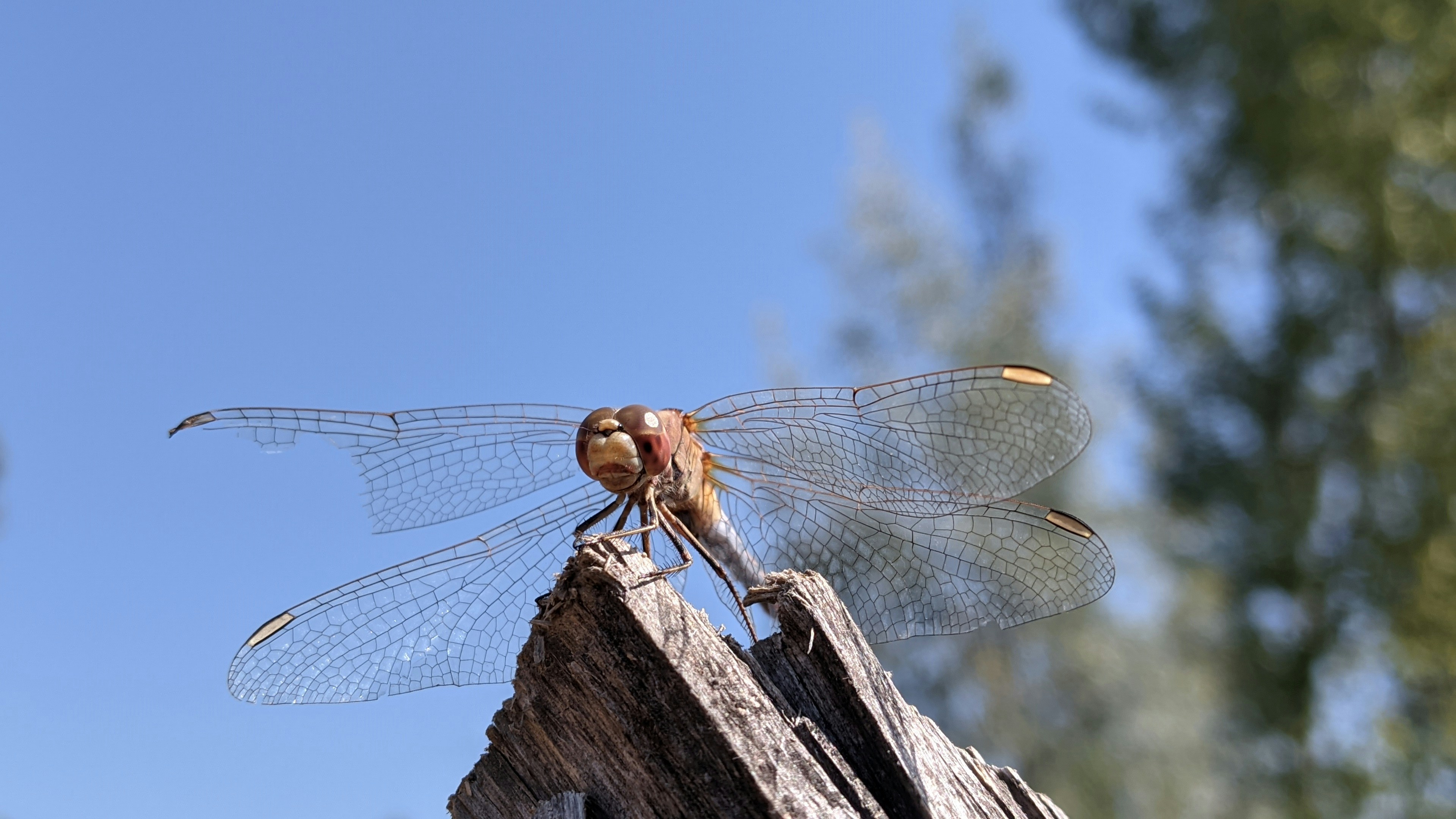 Photo by kazimbhai_photography