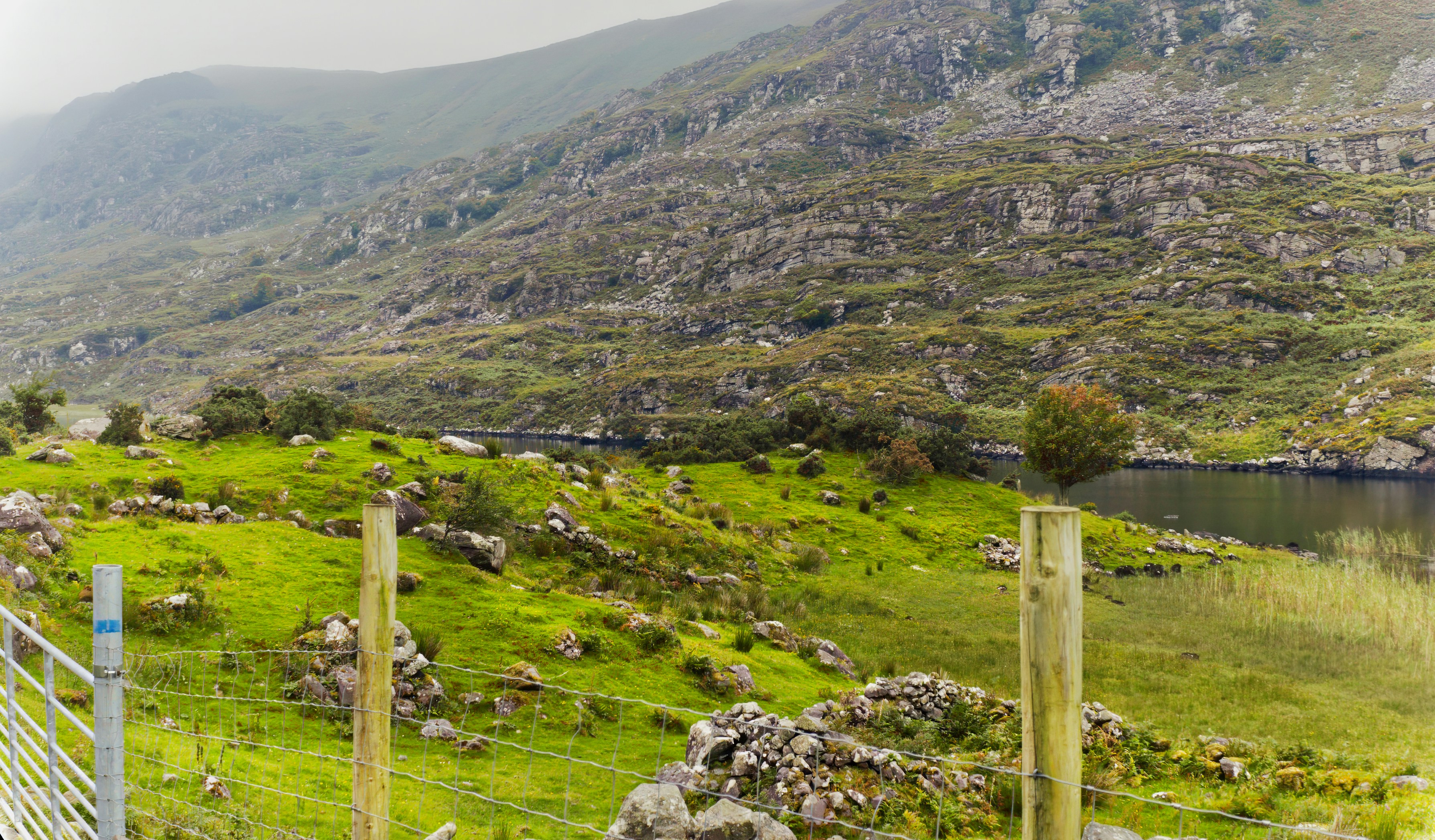 A fenced in area next to a body of water