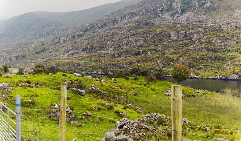 안개 낀 초원과 목조 울타리가 있는 아이리쉬 풍경 &mdash; 크리드 그린 아이리쉬 트위드