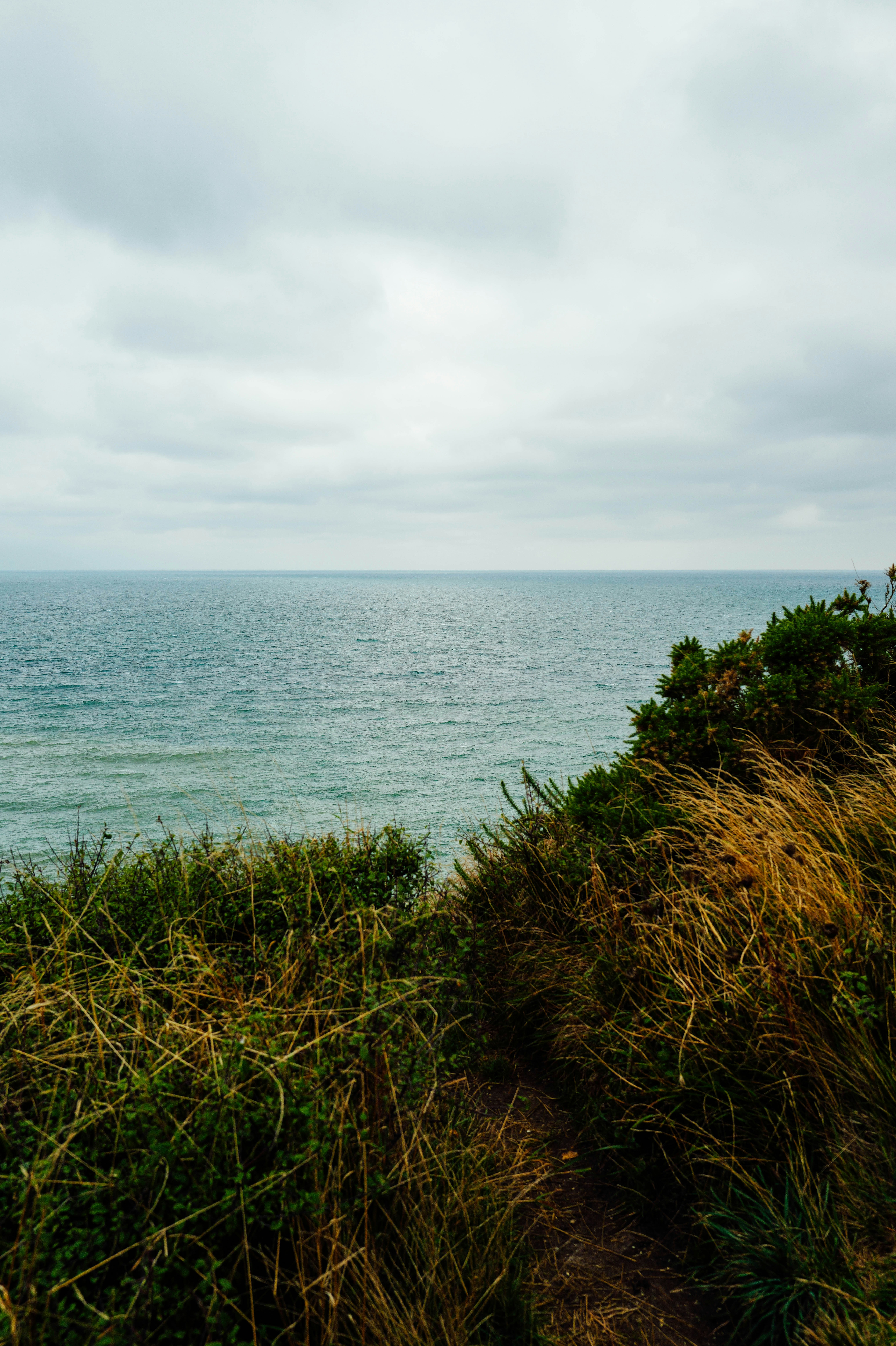 Photo by adrienolichon