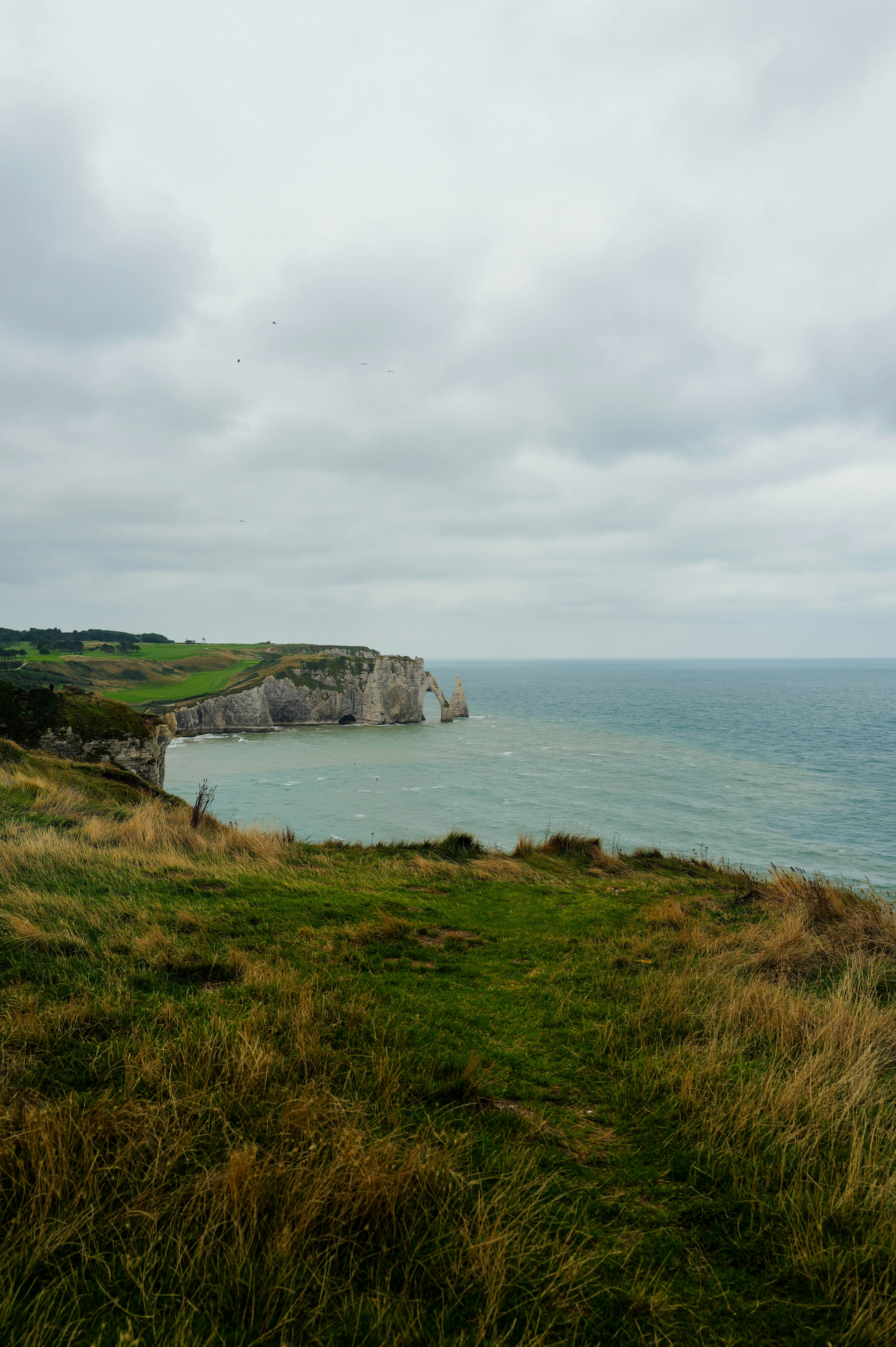 Photo by adrienolichon